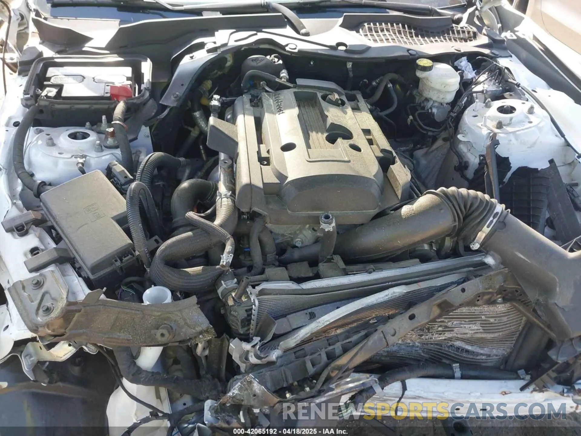 10 fotografías del automóvil dañado 1FA6P8TH1L5136754 FORD MUSTANG 2020