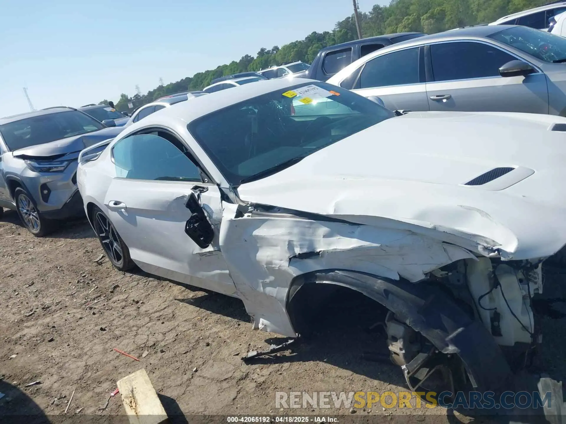 13 fotografías del automóvil dañado 1FA6P8TH1L5136754 FORD MUSTANG 2020