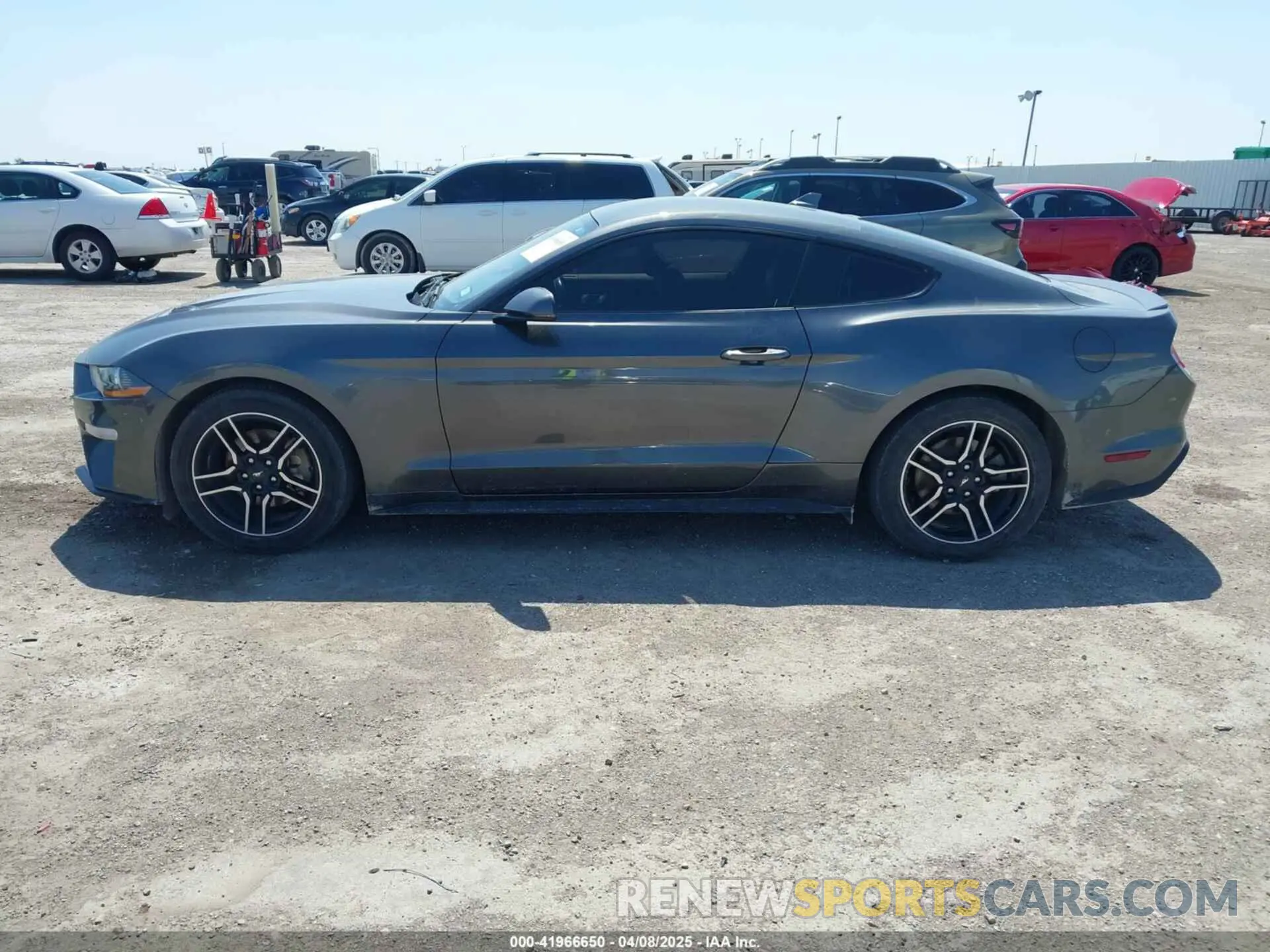 14 fotografías del automóvil dañado 1FA6P8TH1L5178731 FORD MUSTANG 2020