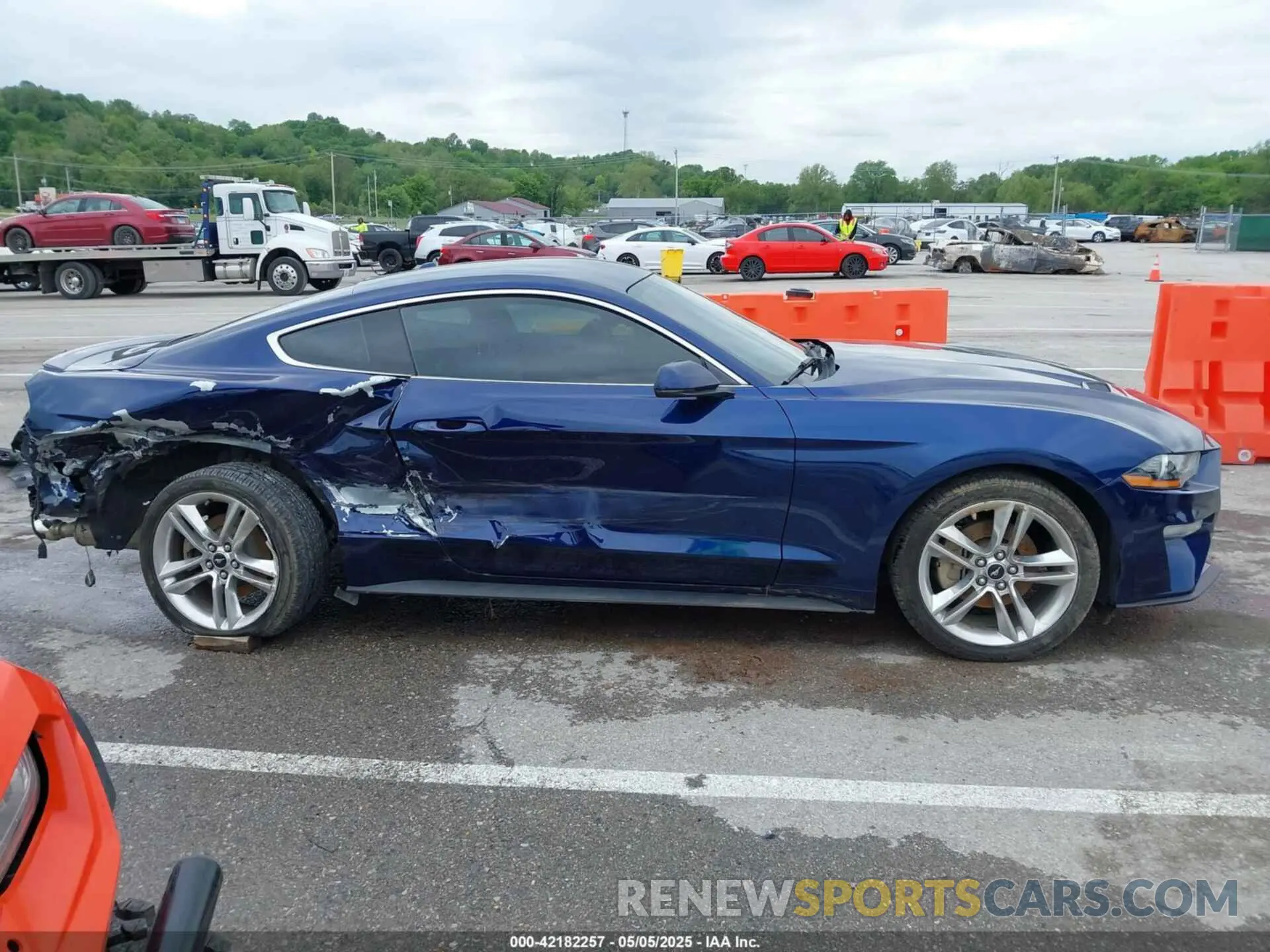 14 fotografías del automóvil dañado 1FA6P8TH2L5108722 FORD MUSTANG 2020