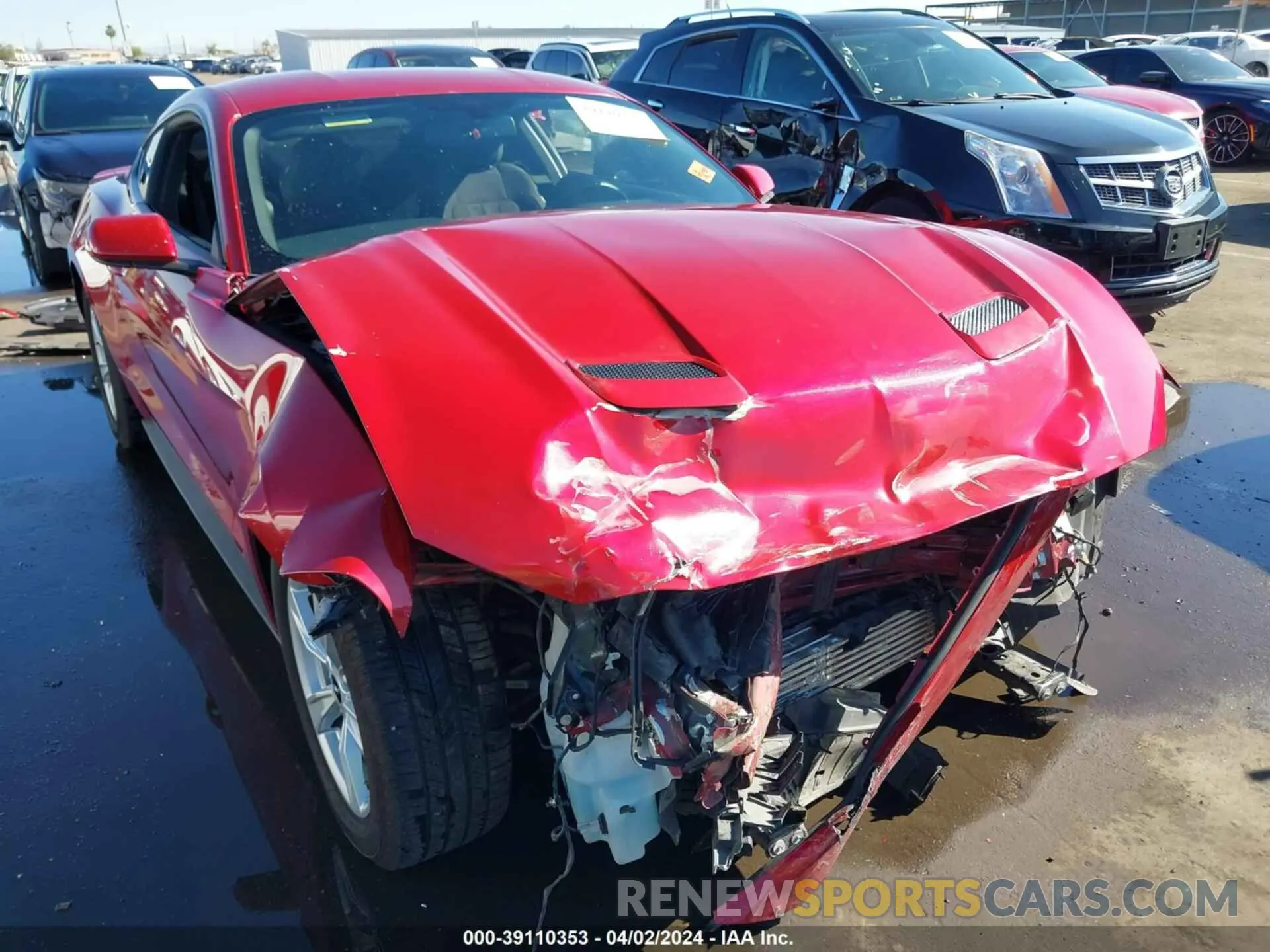 6 fotografías del automóvil dañado 1FA6P8TH2L5114343 FORD MUSTANG 2020
