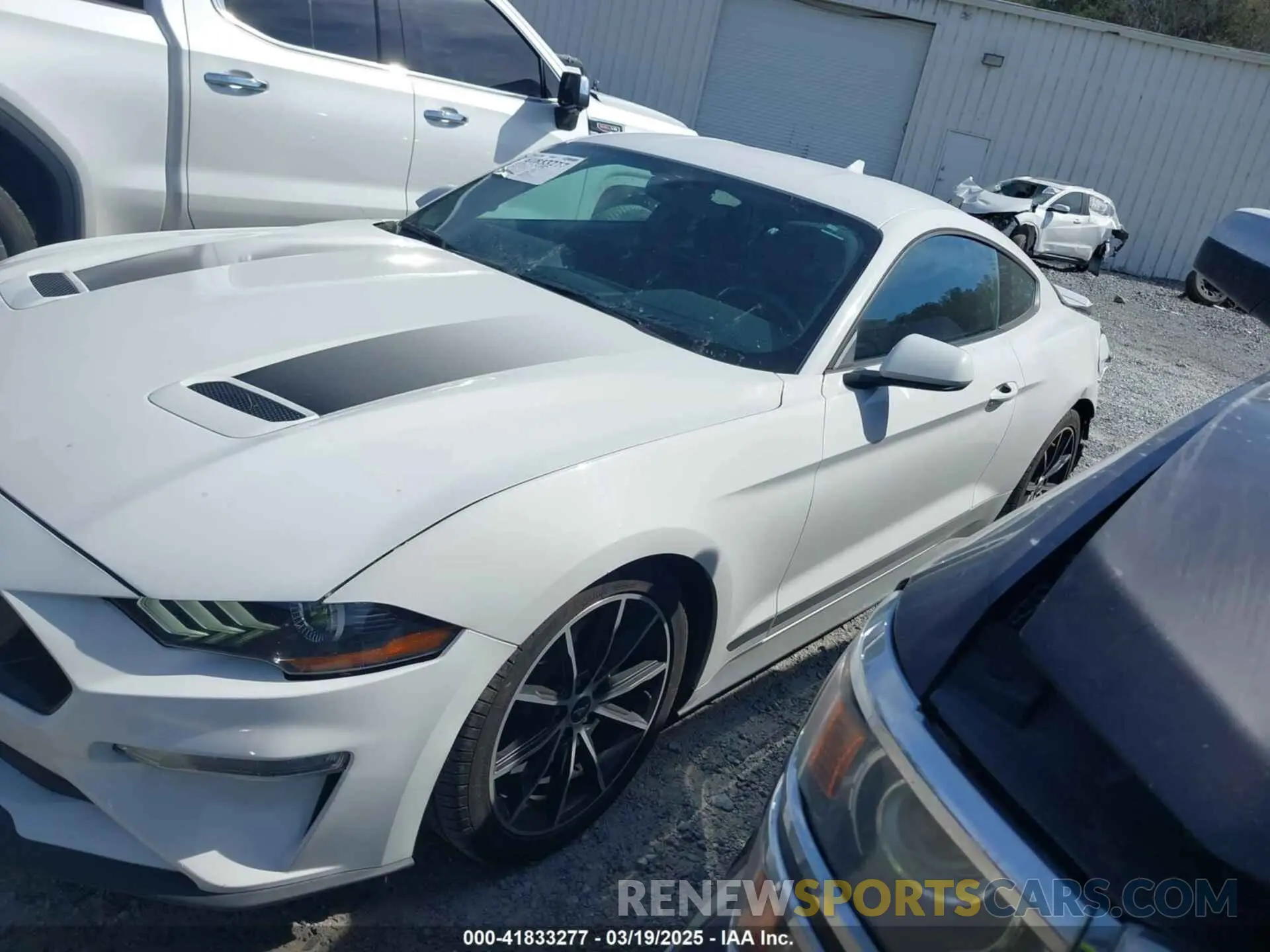 14 fotografías del automóvil dañado 1FA6P8TH2L5149304 FORD MUSTANG 2020