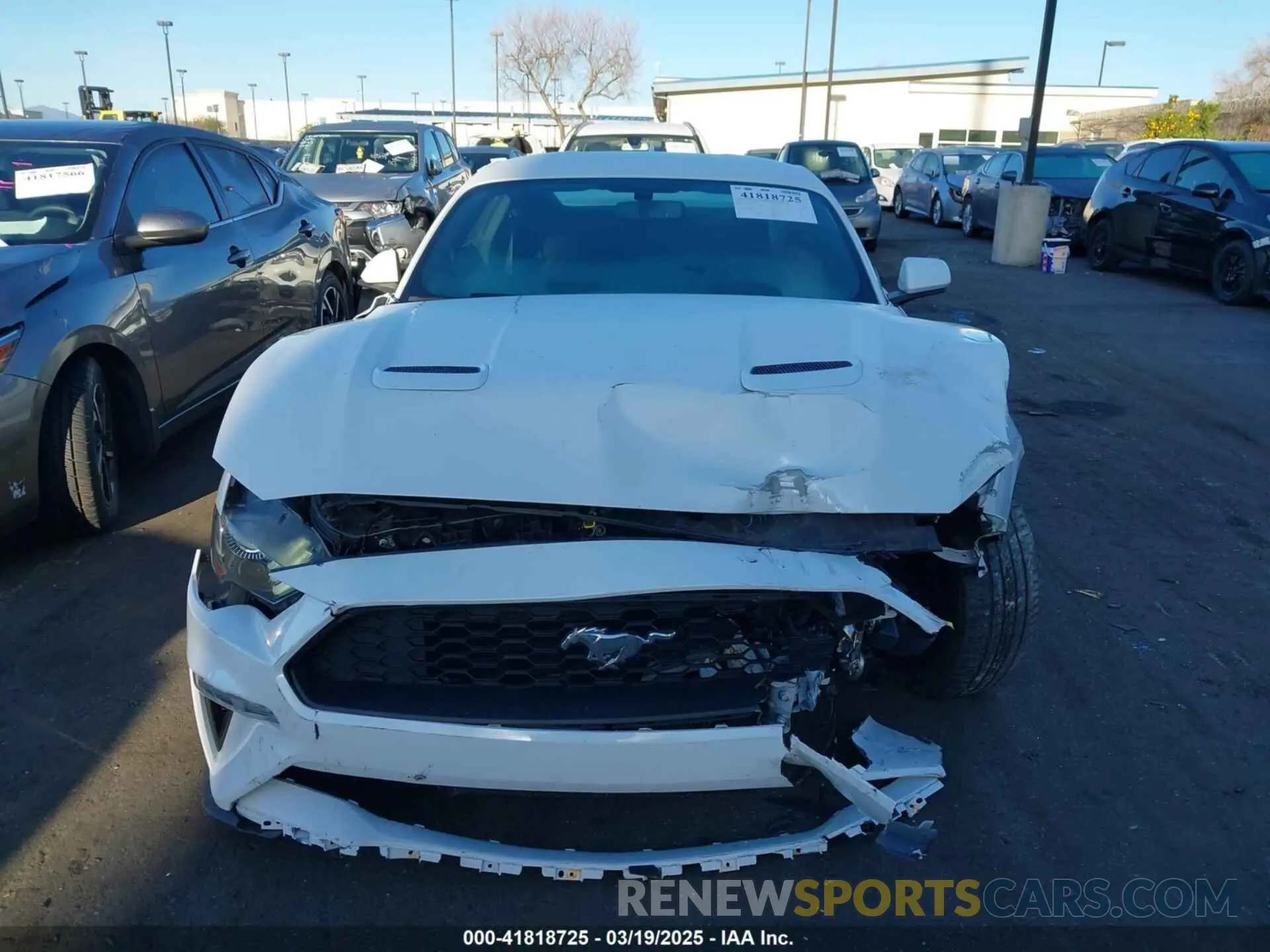13 fotografías del automóvil dañado 1FA6P8TH3L5176737 FORD MUSTANG 2020