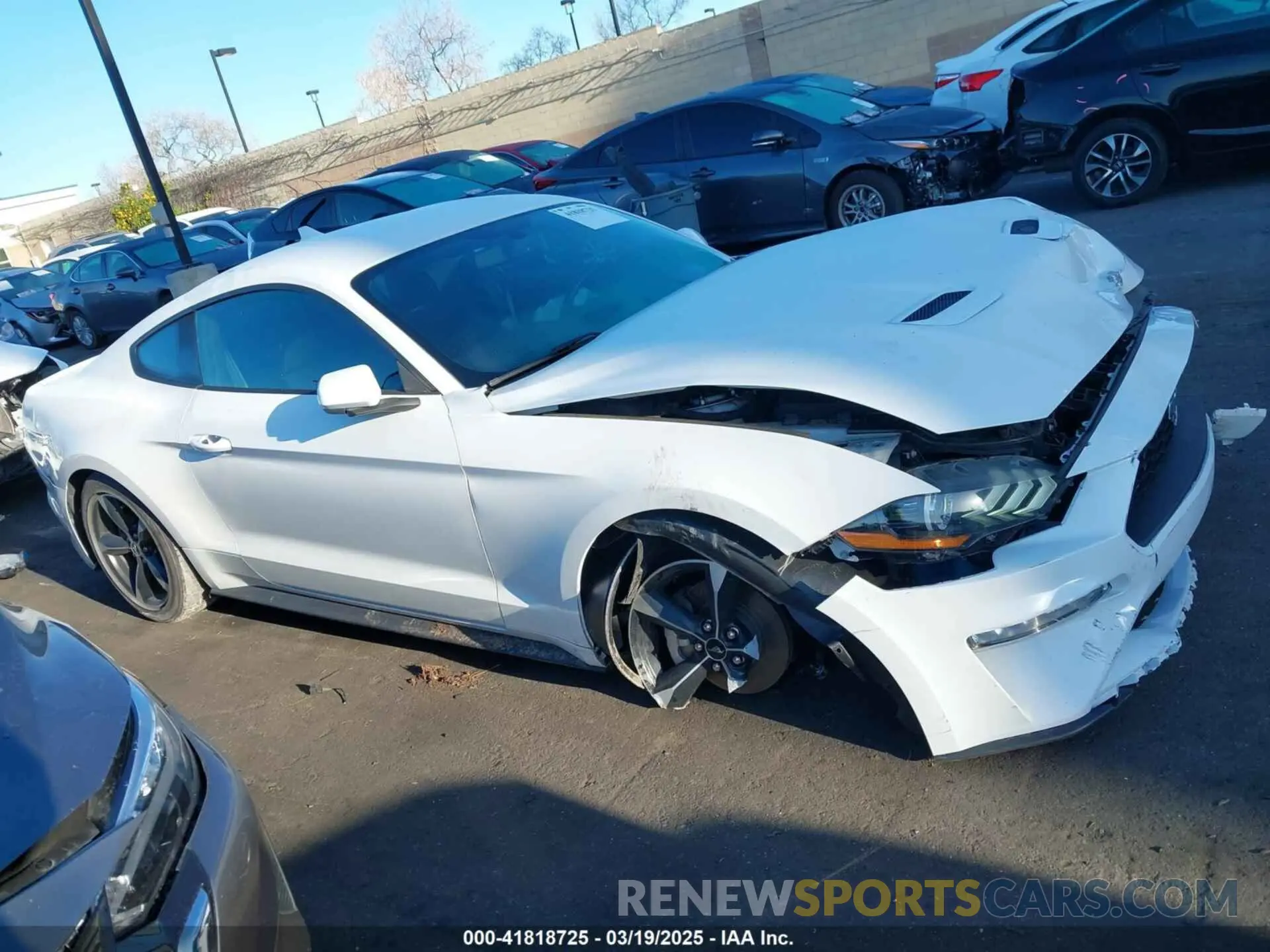 14 fotografías del automóvil dañado 1FA6P8TH3L5176737 FORD MUSTANG 2020