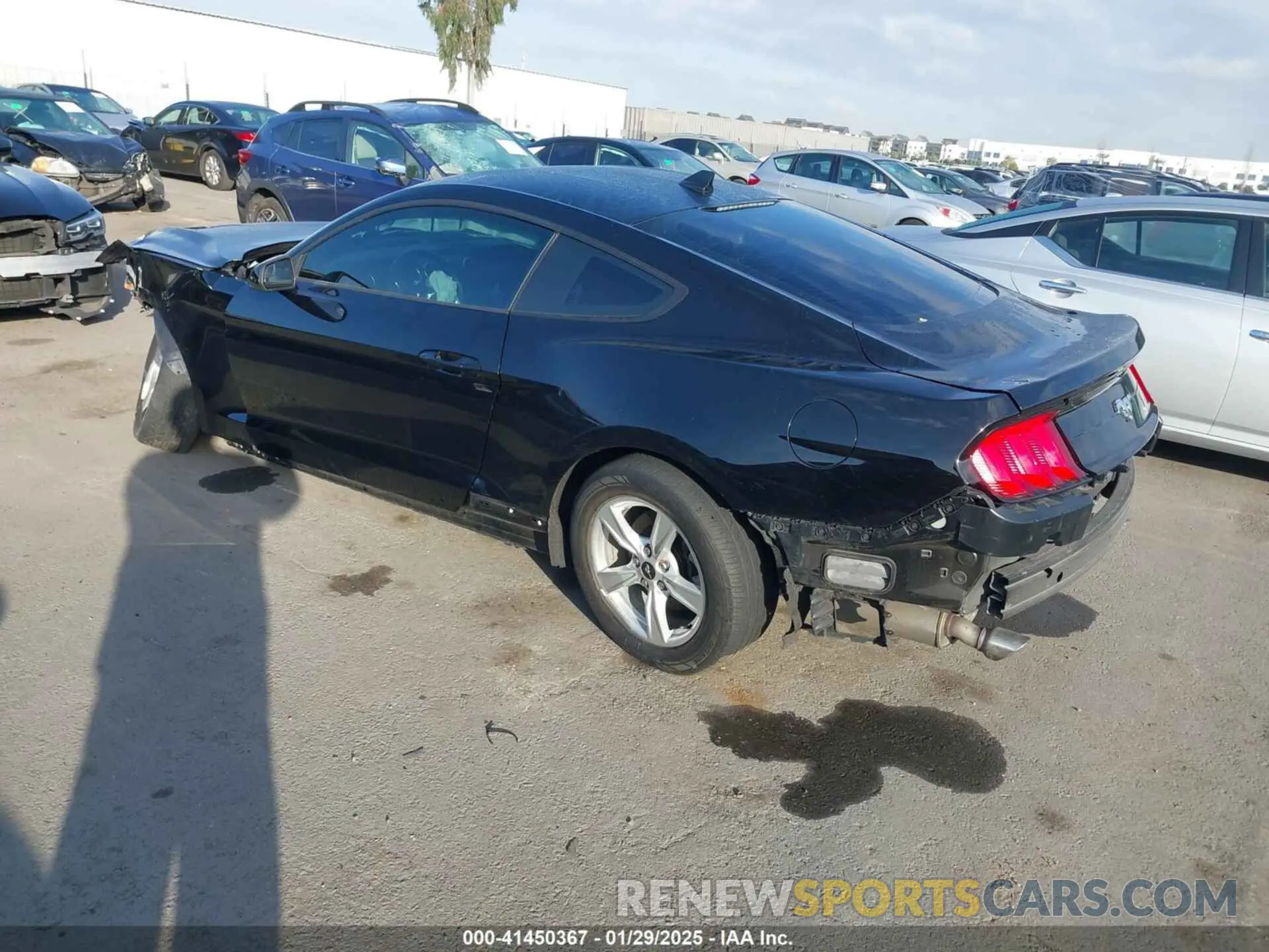 3 fotografías del automóvil dañado 1FA6P8TH4L5188492 FORD MUSTANG 2020