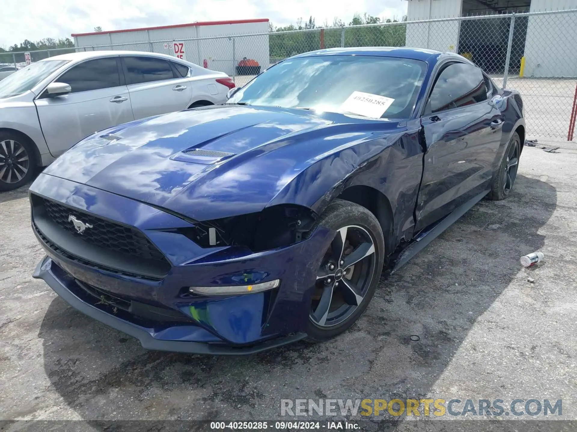 6 fotografías del automóvil dañado 1FA6P8TH6L5189448 FORD MUSTANG 2020