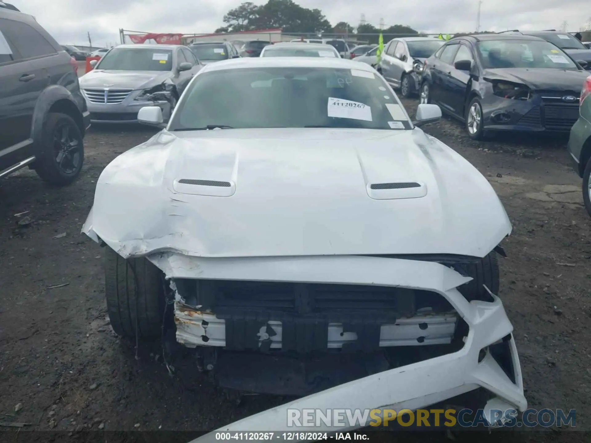 12 fotografías del automóvil dañado 1FA6P8TH7L5123071 FORD MUSTANG 2020