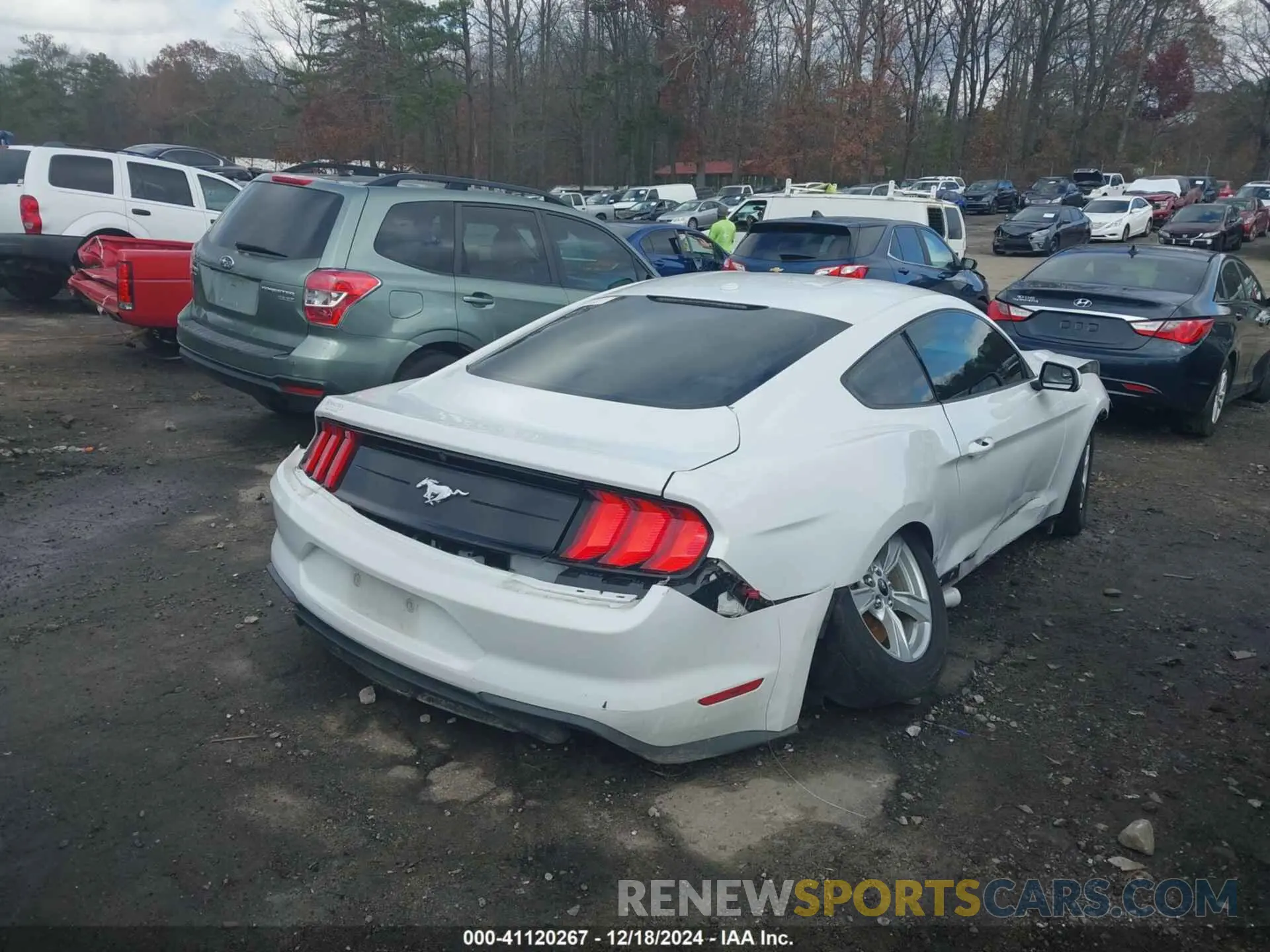 4 fotografías del automóvil dañado 1FA6P8TH7L5123071 FORD MUSTANG 2020