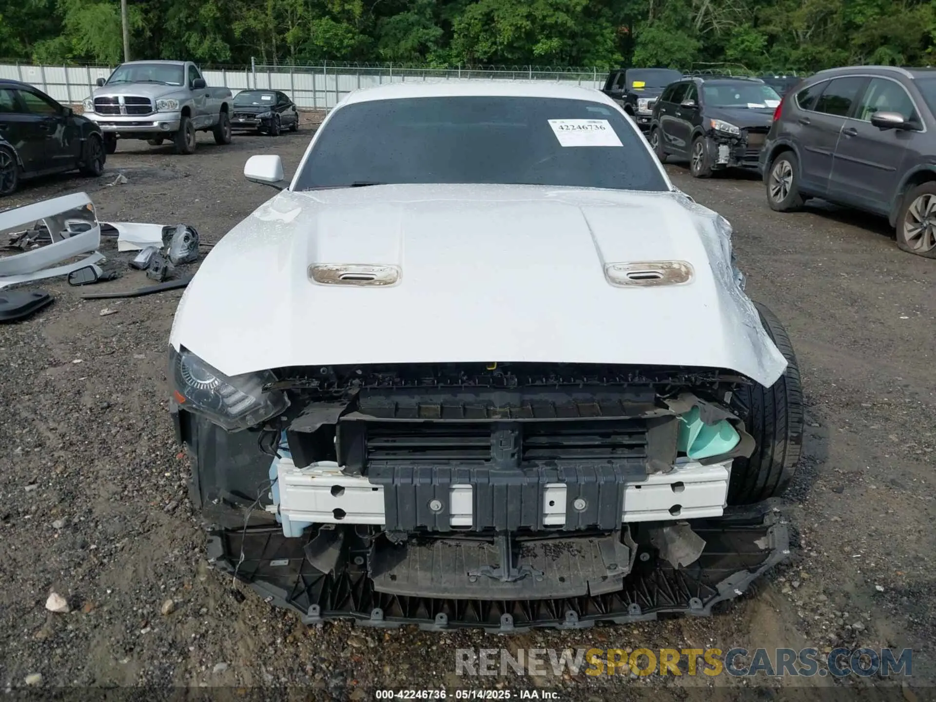 13 fotografías del automóvil dañado 1FA6P8TH9L5132788 FORD MUSTANG 2020