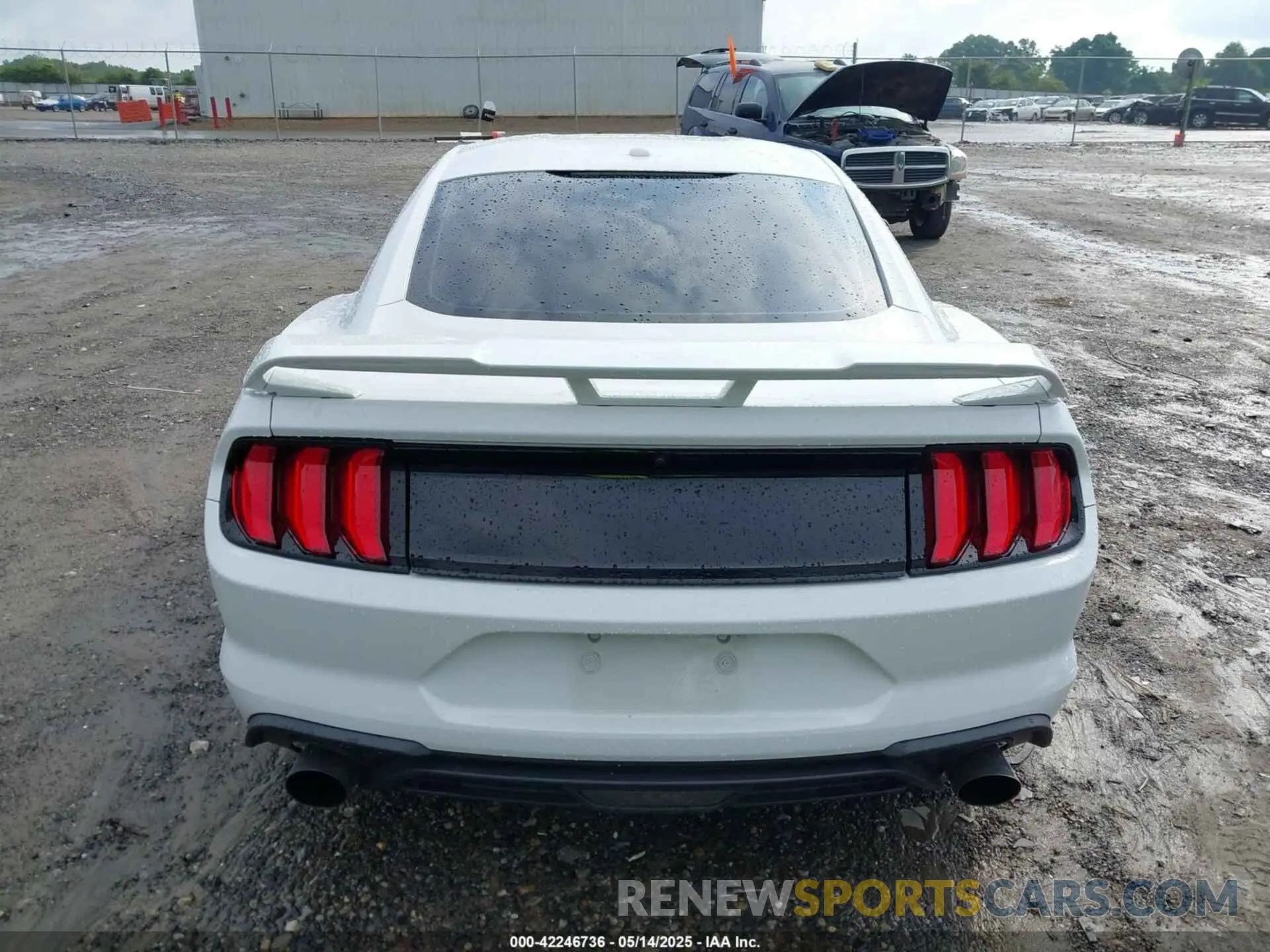 17 fotografías del automóvil dañado 1FA6P8TH9L5132788 FORD MUSTANG 2020