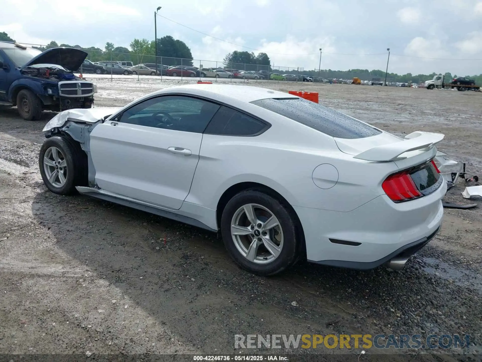 3 fotografías del automóvil dañado 1FA6P8TH9L5132788 FORD MUSTANG 2020
