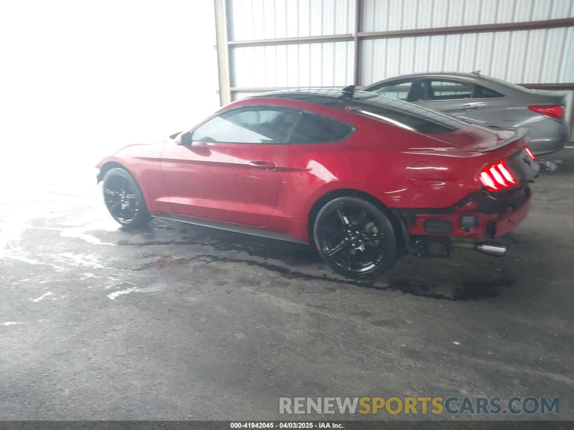 14 fotografías del automóvil dañado 1FA6P8TH9L5181750 FORD MUSTANG 2020