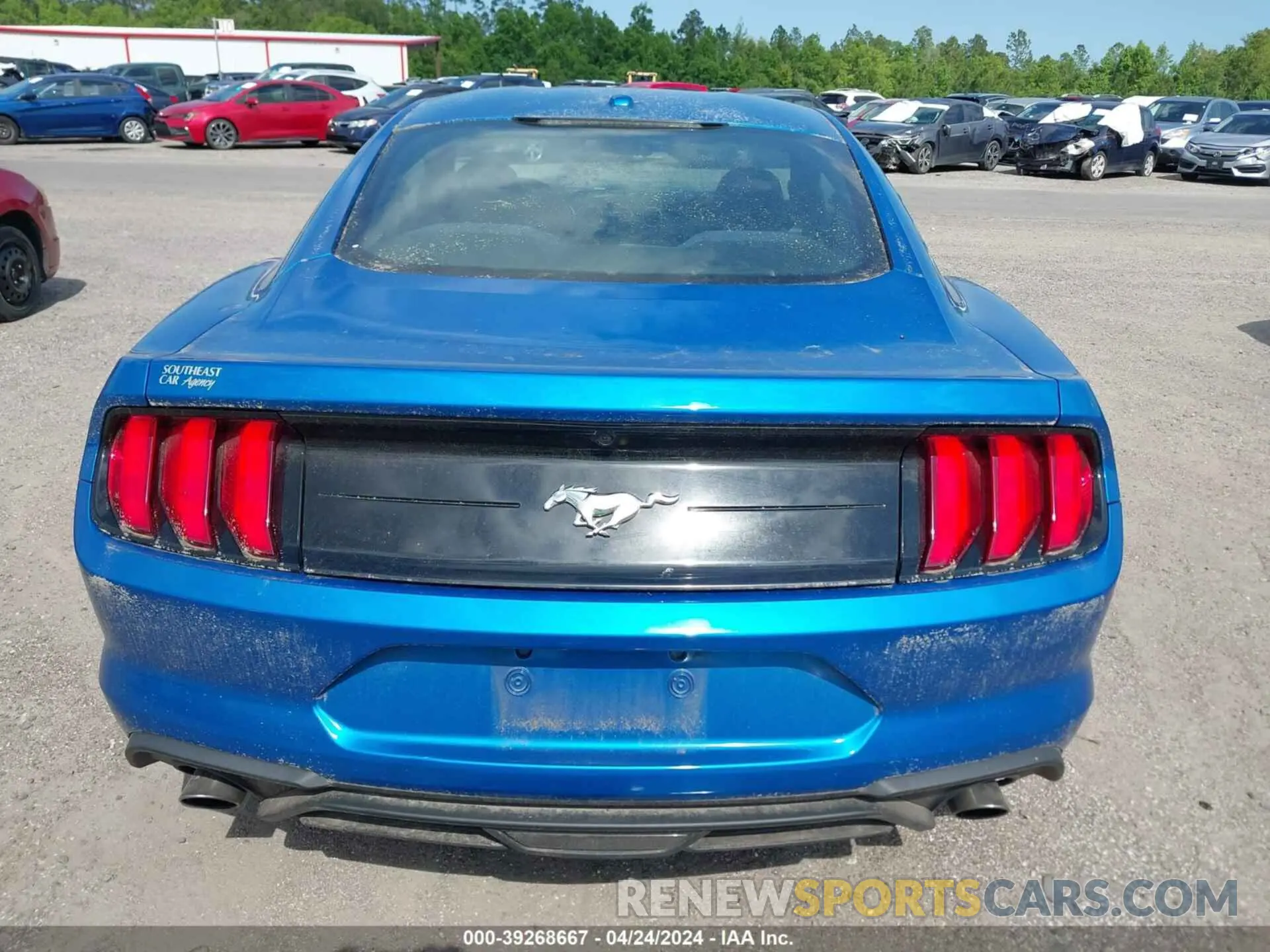 16 fotografías del automóvil dañado 1FA6P8THXL5129382 FORD MUSTANG 2020