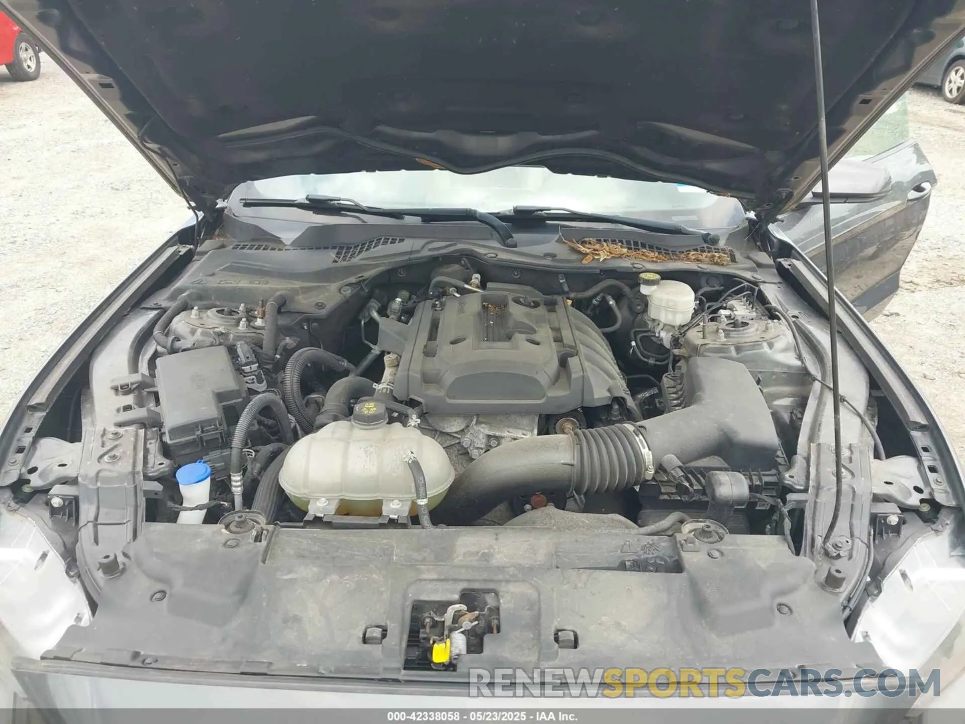 10 fotografías del automóvil dañado 1FA6P8THXL5142584 FORD MUSTANG 2020