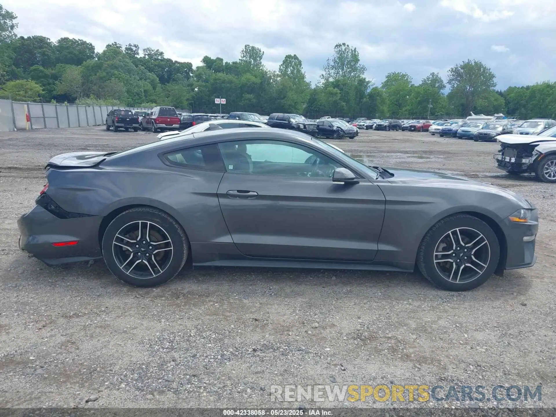 13 fotografías del automóvil dañado 1FA6P8THXL5142584 FORD MUSTANG 2020