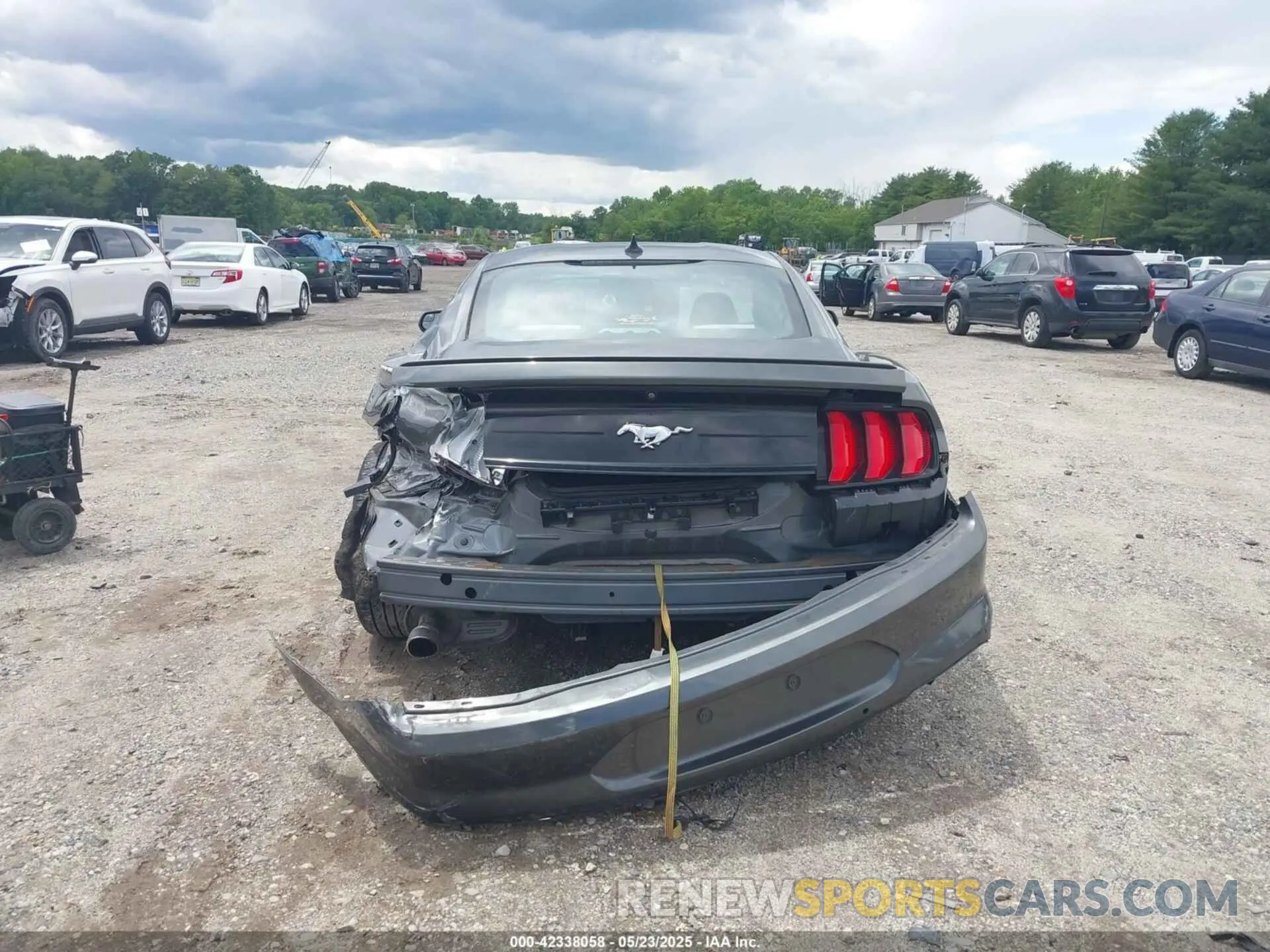 16 fotografías del automóvil dañado 1FA6P8THXL5142584 FORD MUSTANG 2020