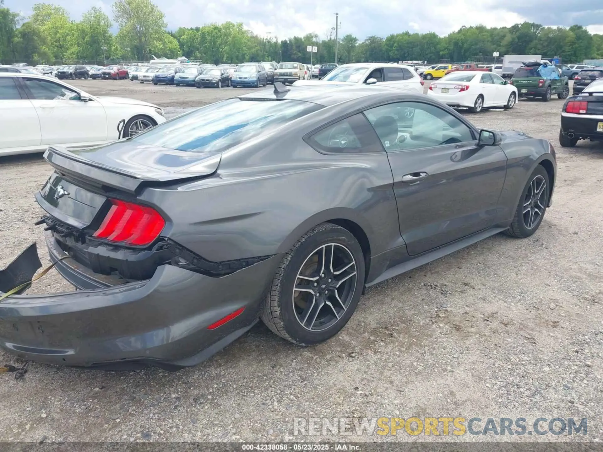 4 fotografías del automóvil dañado 1FA6P8THXL5142584 FORD MUSTANG 2020
