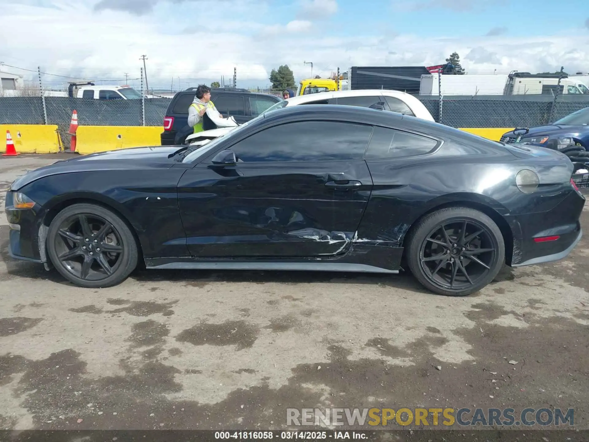 14 fotografías del automóvil dañado 1FA6P8THXL5177271 FORD MUSTANG 2020
