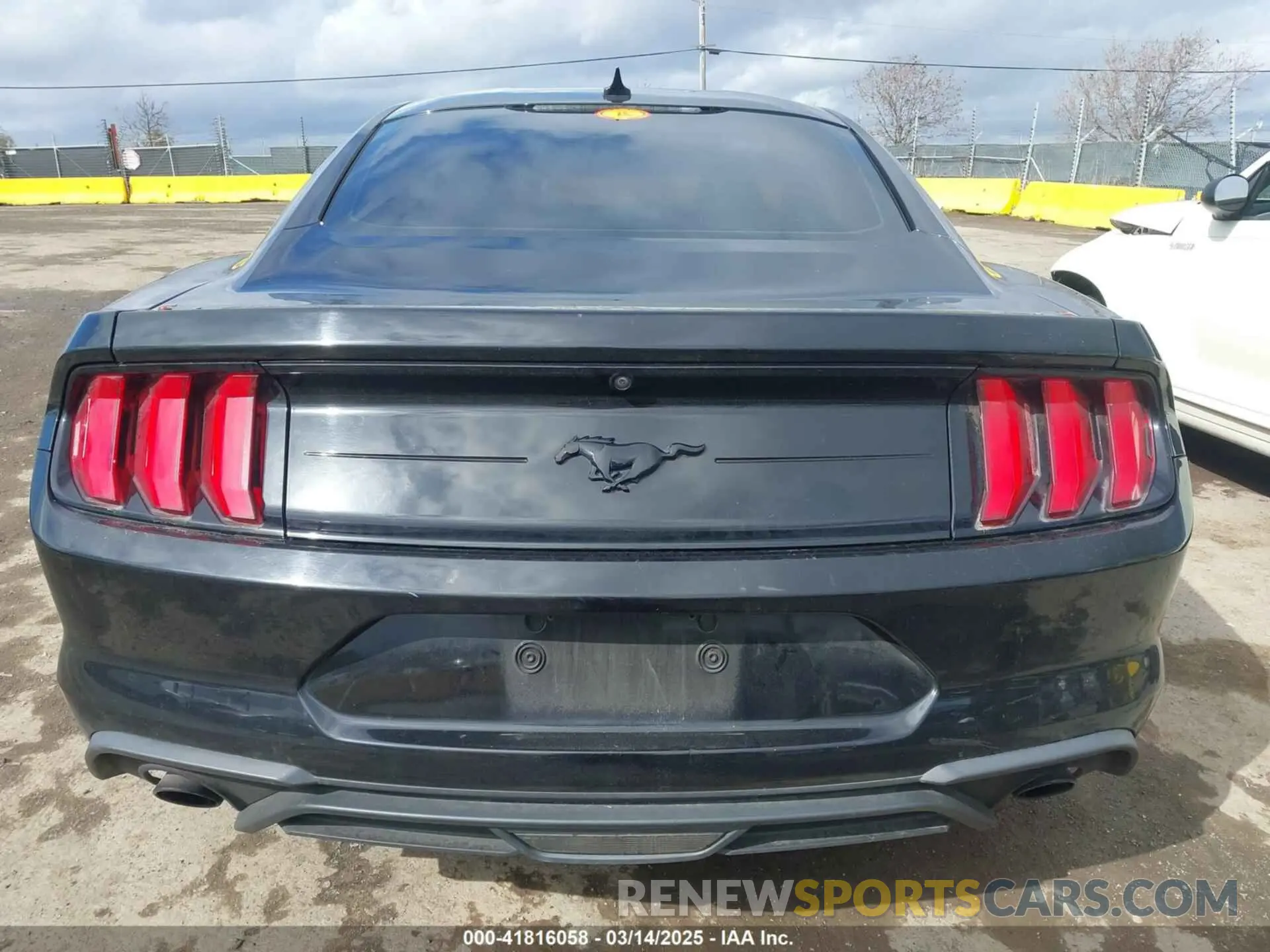 16 fotografías del automóvil dañado 1FA6P8THXL5177271 FORD MUSTANG 2020
