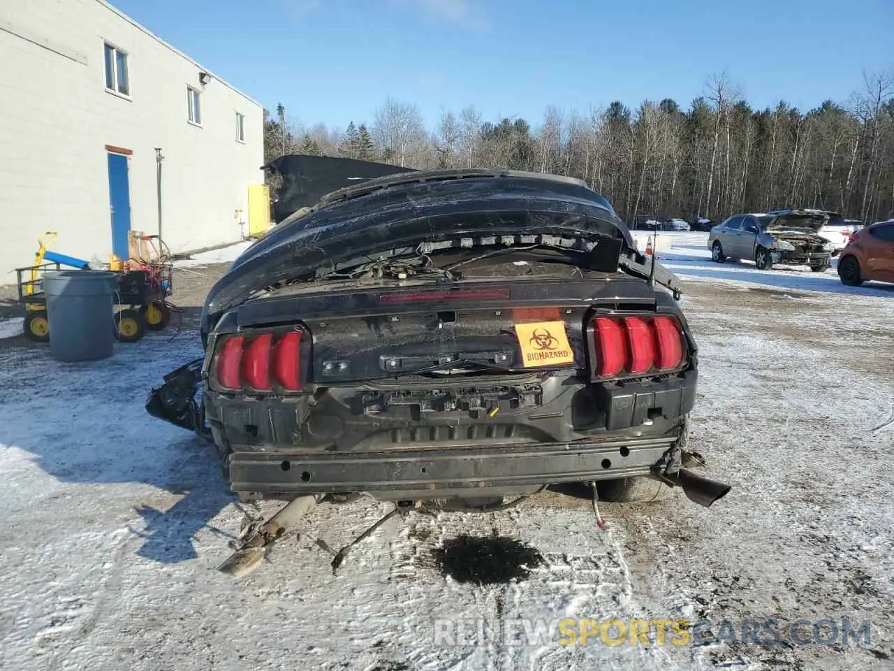 6 fotografías del automóvil dañado 1FATP8FF4L5142383 FORD MUSTANG 2020