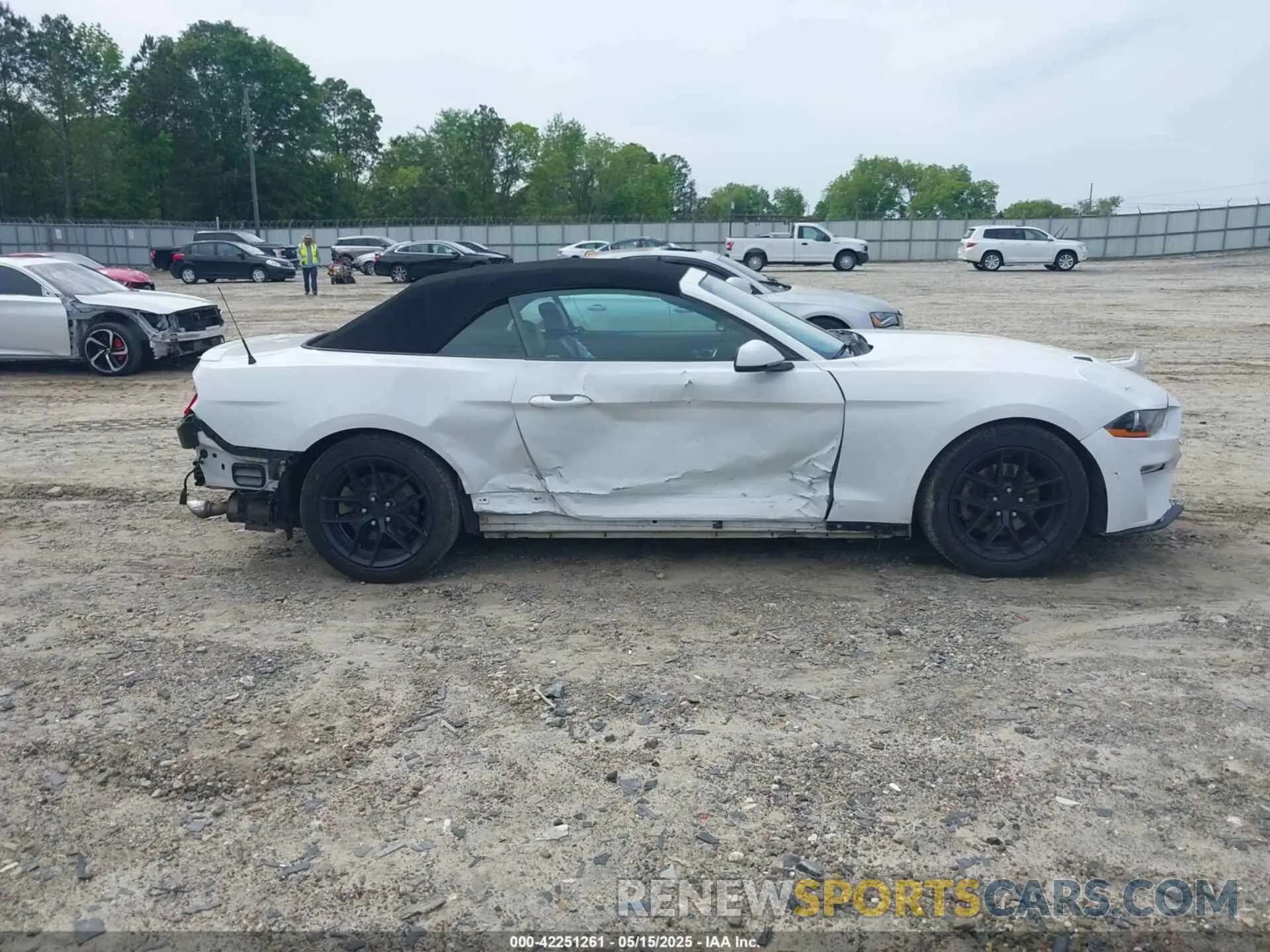 14 fotografías del automóvil dañado 1FATP8UH2L5119009 FORD MUSTANG 2020