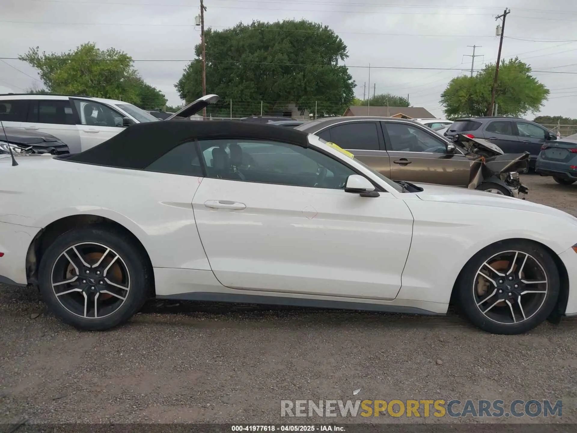14 fotografías del automóvil dañado 1FATP8UH4L5120002 FORD MUSTANG 2020