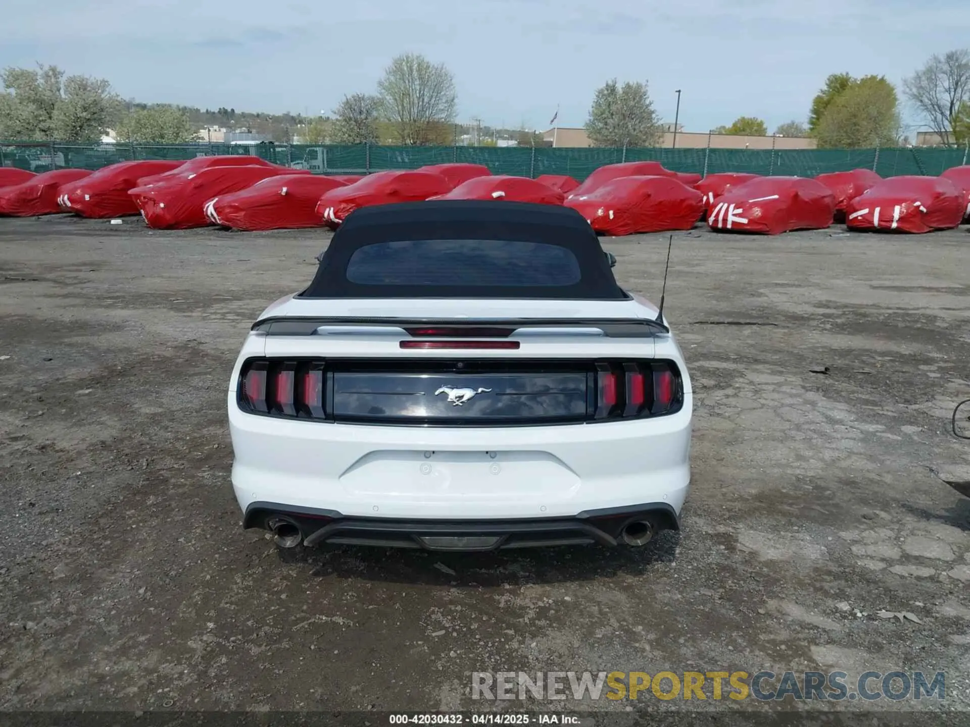 17 fotografías del automóvil dañado 1FATP8UH5L5137682 FORD MUSTANG 2020