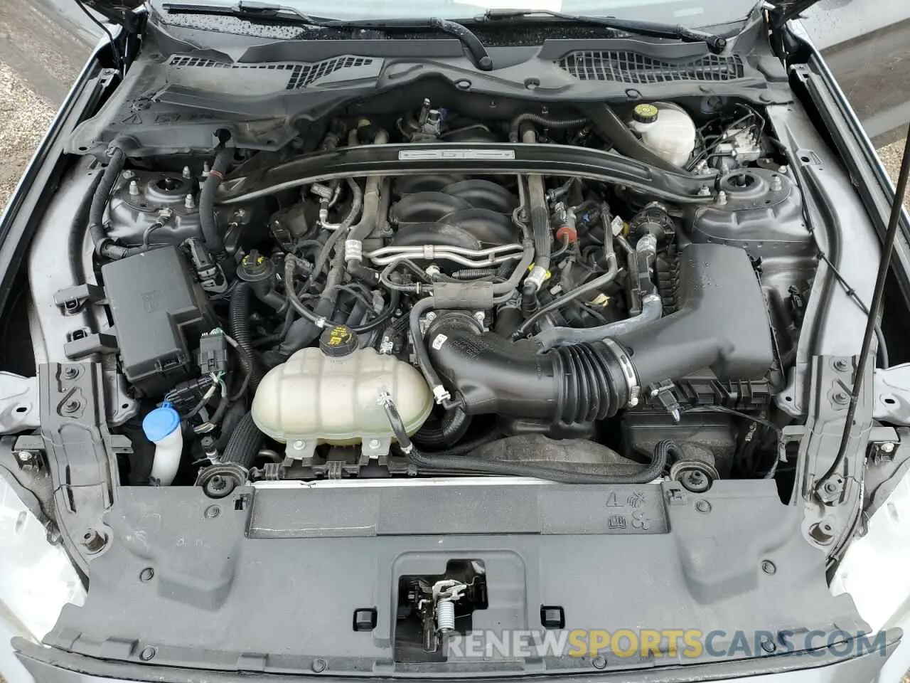11 fotografías del automóvil dañado 1FA6P8CF0M5126622 FORD MUSTANG 2021