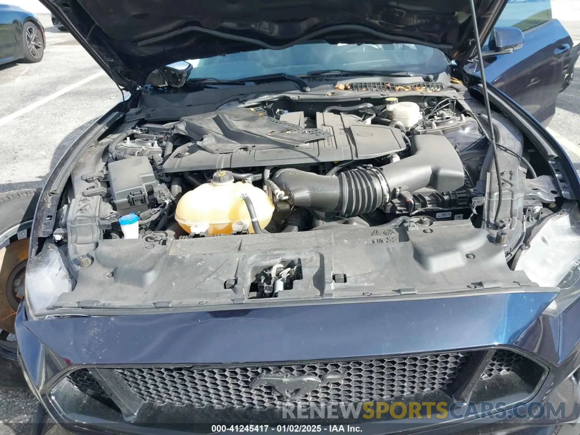 10 fotografías del automóvil dañado 1FA6P8CF1M5138567 FORD MUSTANG 2021