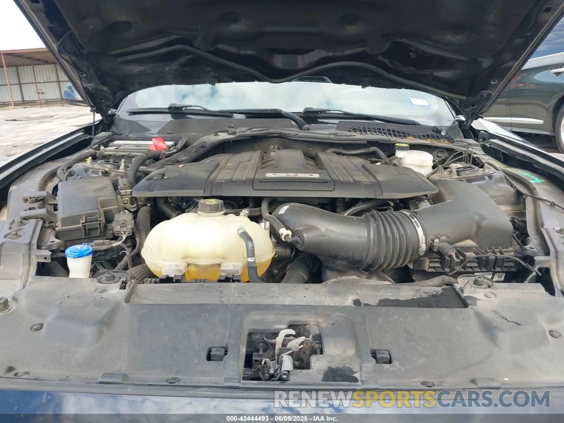 10 fotografías del automóvil dañado 1FA6P8CF1M5148371 FORD MUSTANG 2021
