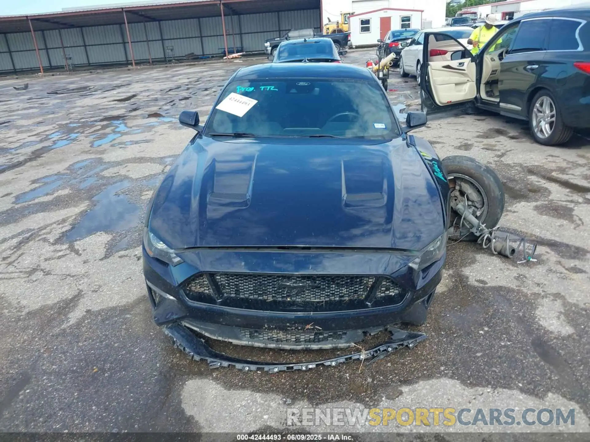 11 fotografías del automóvil dañado 1FA6P8CF1M5148371 FORD MUSTANG 2021