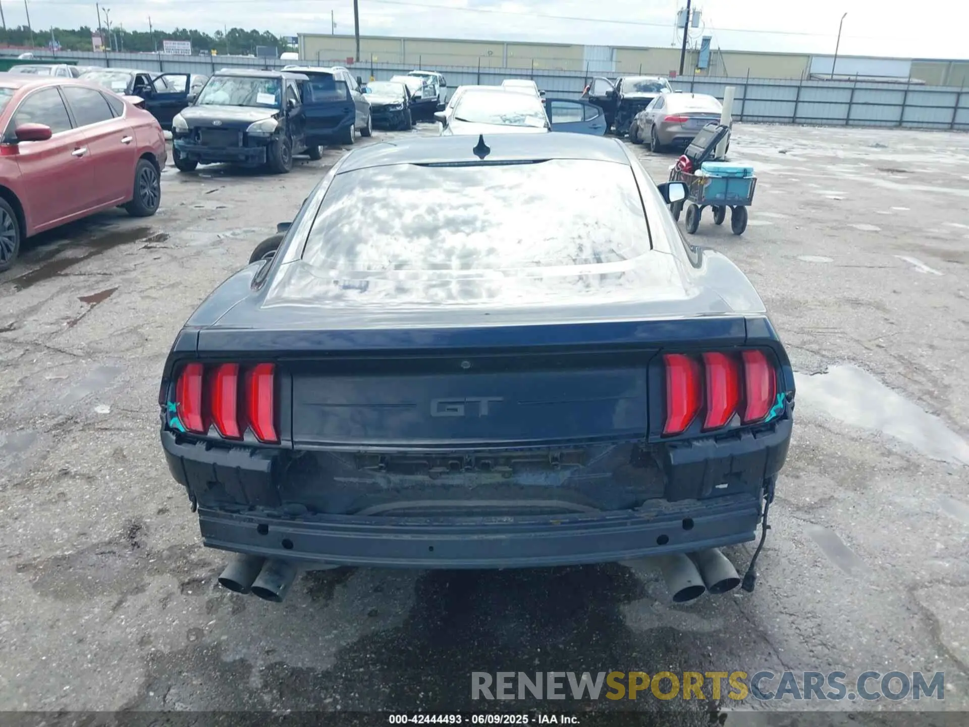 15 fotografías del automóvil dañado 1FA6P8CF1M5148371 FORD MUSTANG 2021