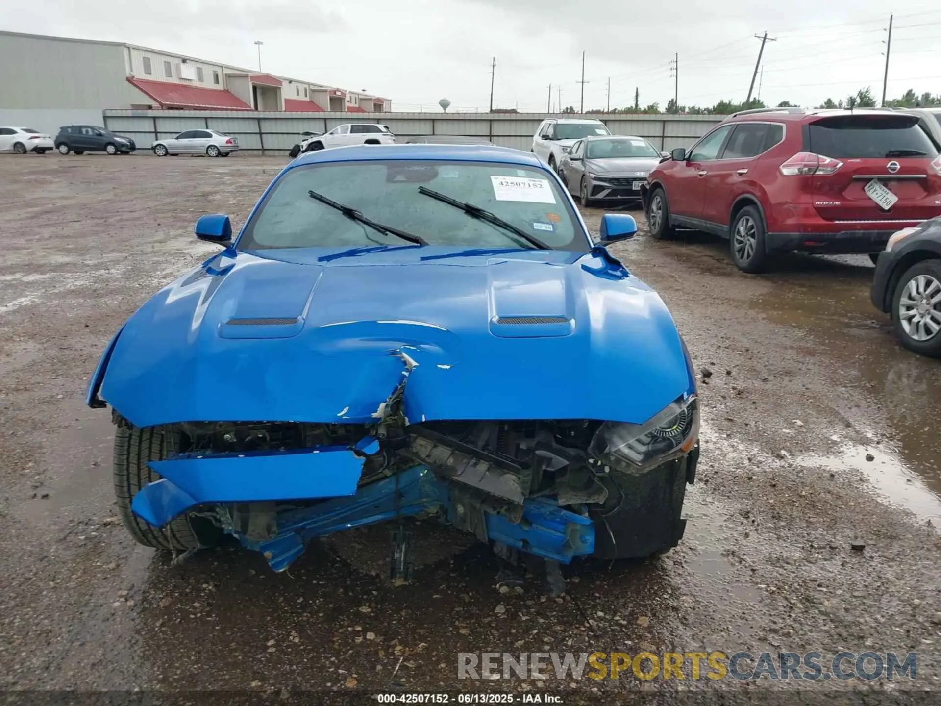 13 fotografías del automóvil dañado 1FA6P8CF2M5144006 FORD MUSTANG 2021