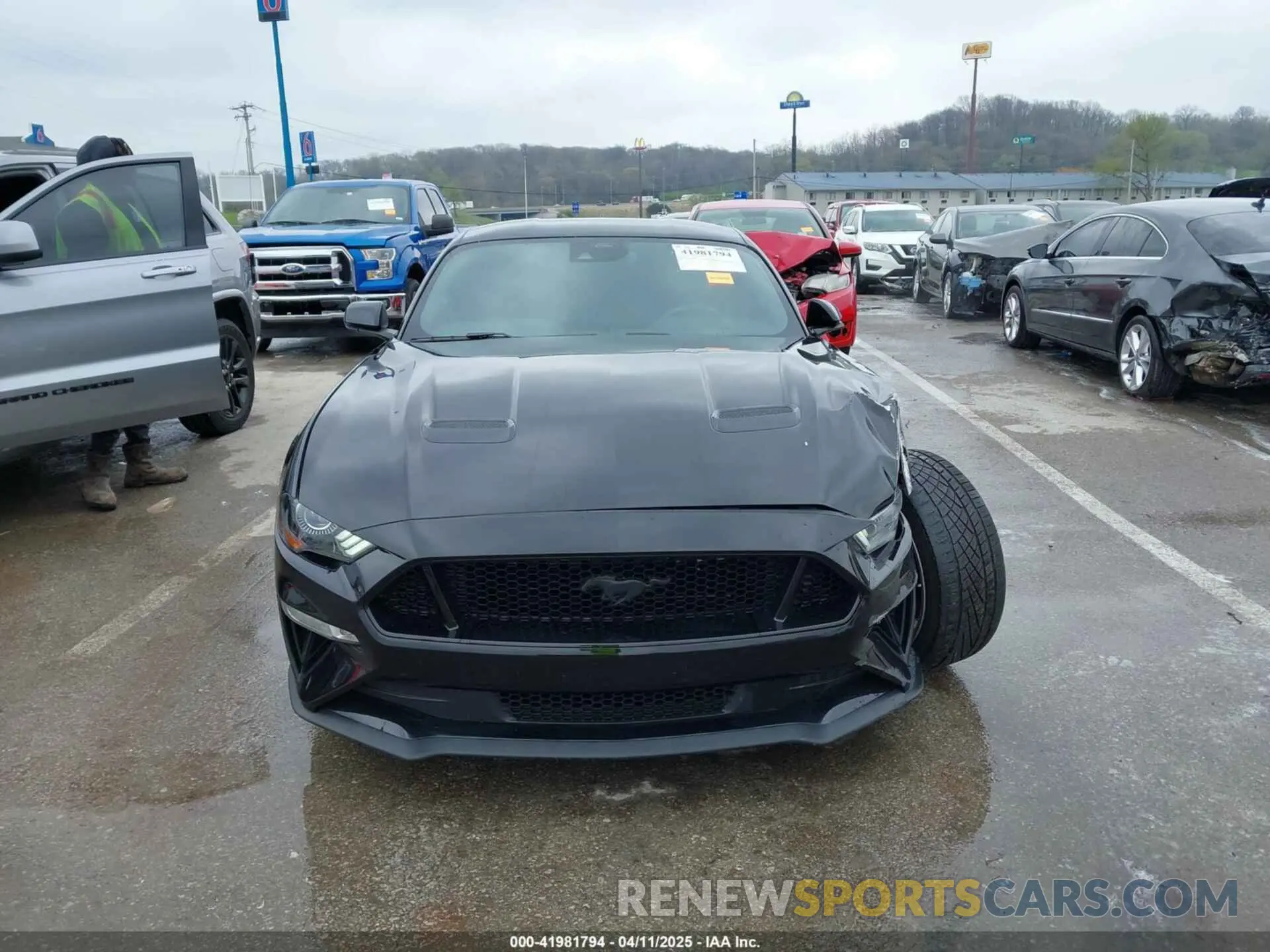 12 fotografías del automóvil dañado 1FA6P8CF2M5149643 FORD MUSTANG 2021