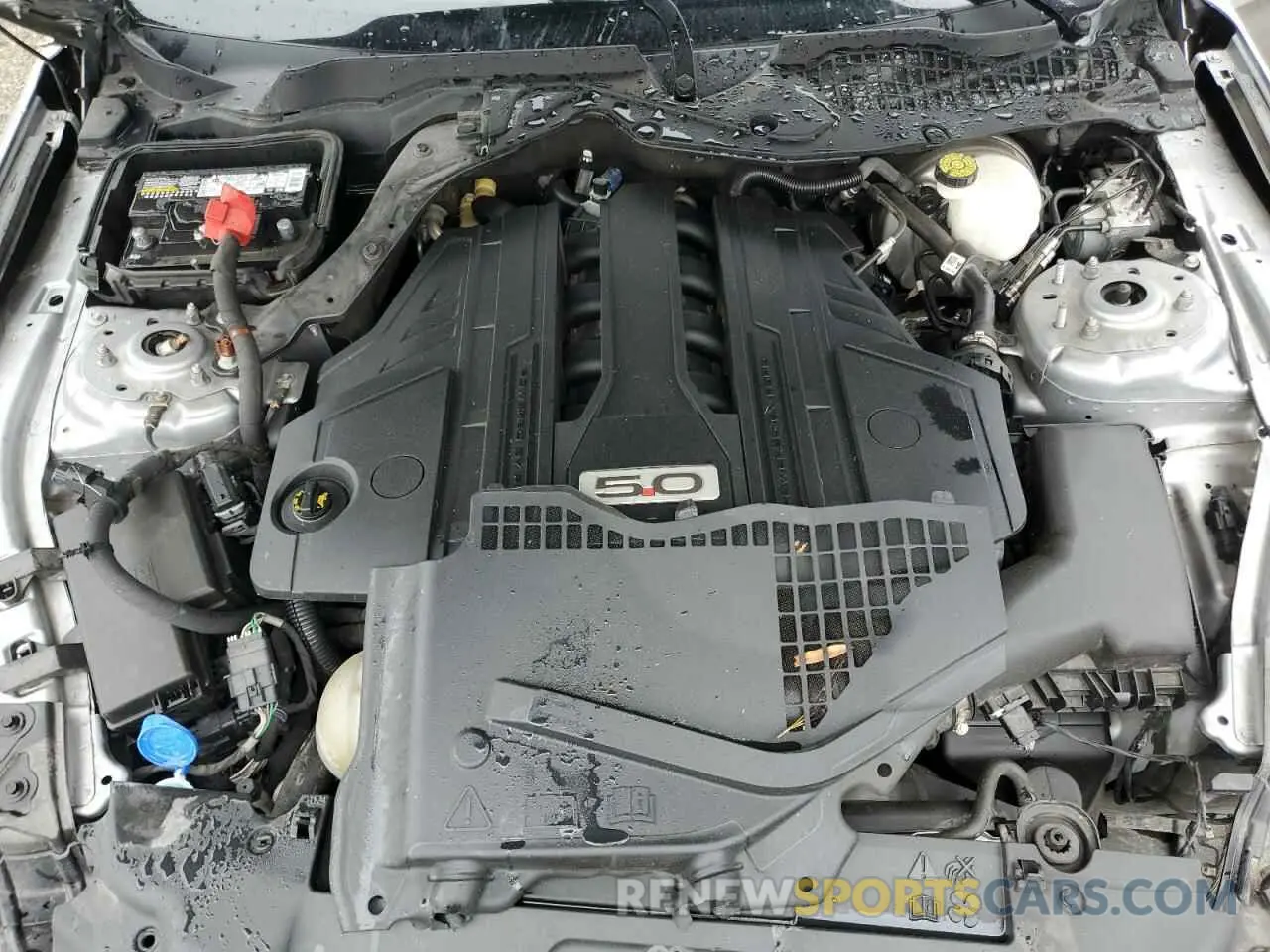 11 fotografías del automóvil dañado 1FA6P8CF4M5116482 FORD MUSTANG 2021