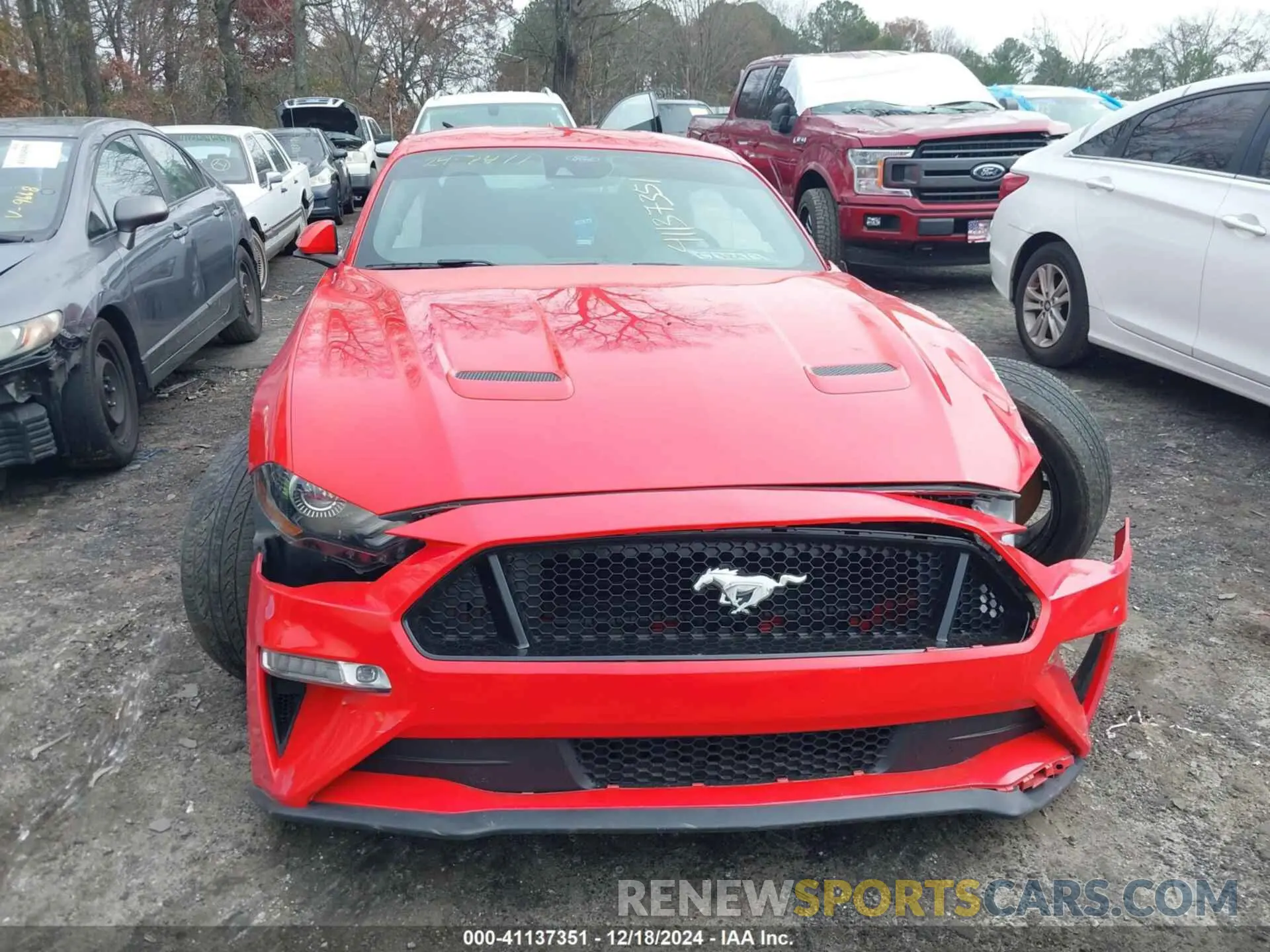 12 fotografías del automóvil dañado 1FA6P8CF4M5119074 FORD MUSTANG 2021
