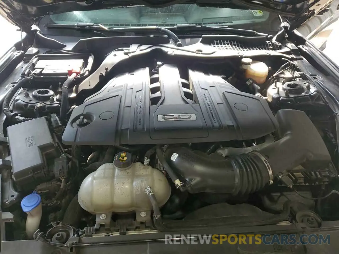 11 fotografías del automóvil dañado 1FA6P8CF4M5141110 FORD MUSTANG 2021