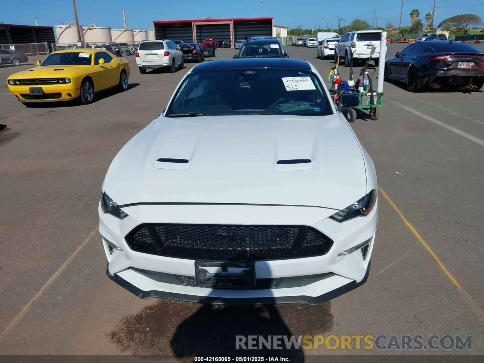 13 fotografías del automóvil dañado 1FA6P8CF5M5142279 FORD MUSTANG 2021
