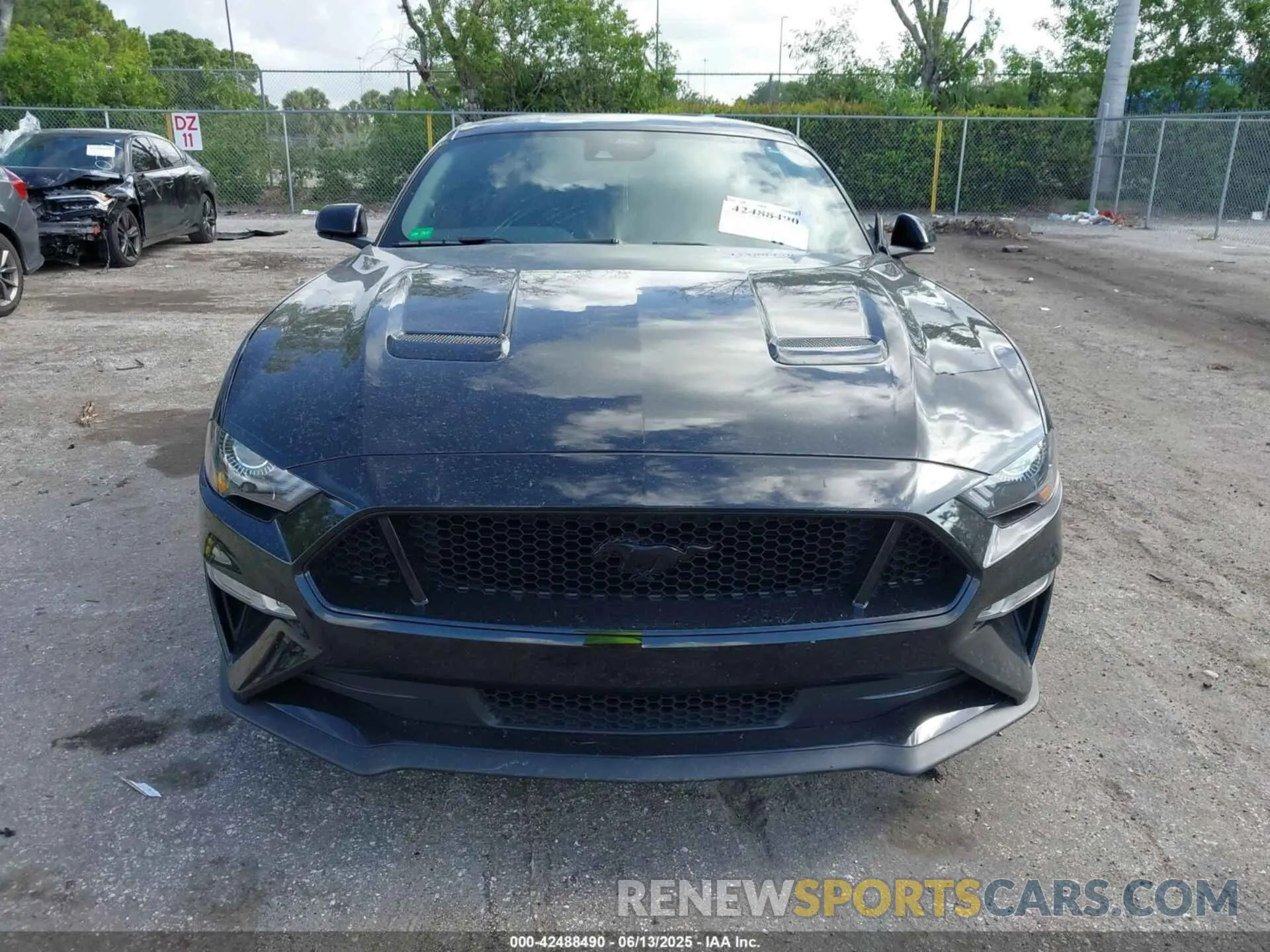 12 fotografías del automóvil dañado 1FA6P8CFXM5147543 FORD MUSTANG 2021