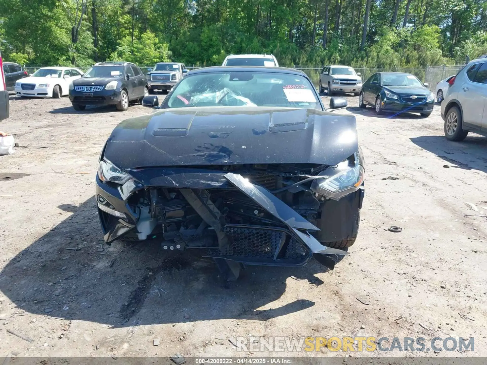 6 fotografías del automóvil dañado 1FA6P8CFXM5156002 FORD MUSTANG 2021
