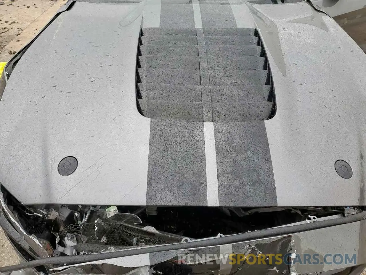 11 fotografías del automóvil dañado 1FA6P8SJ5M5503662 FORD MUSTANG 2021