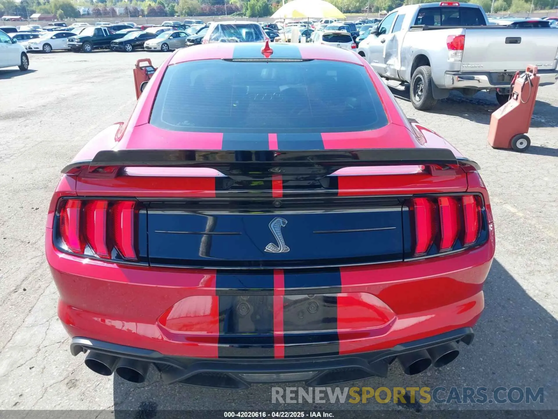 17 fotografías del automóvil dañado 1FA6P8SJ6M5500981 FORD MUSTANG 2021