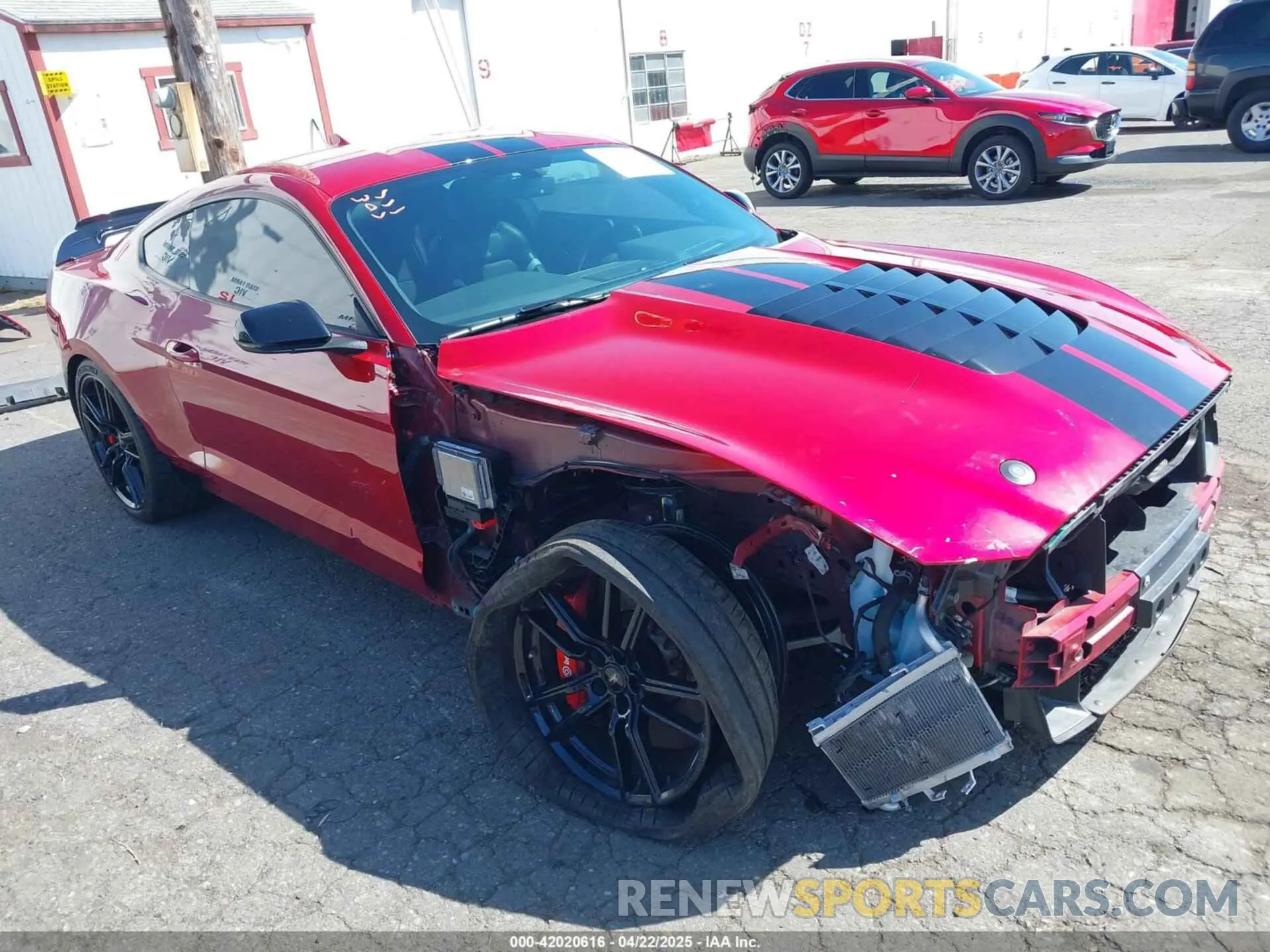 6 fotografías del automóvil dañado 1FA6P8SJ6M5500981 FORD MUSTANG 2021