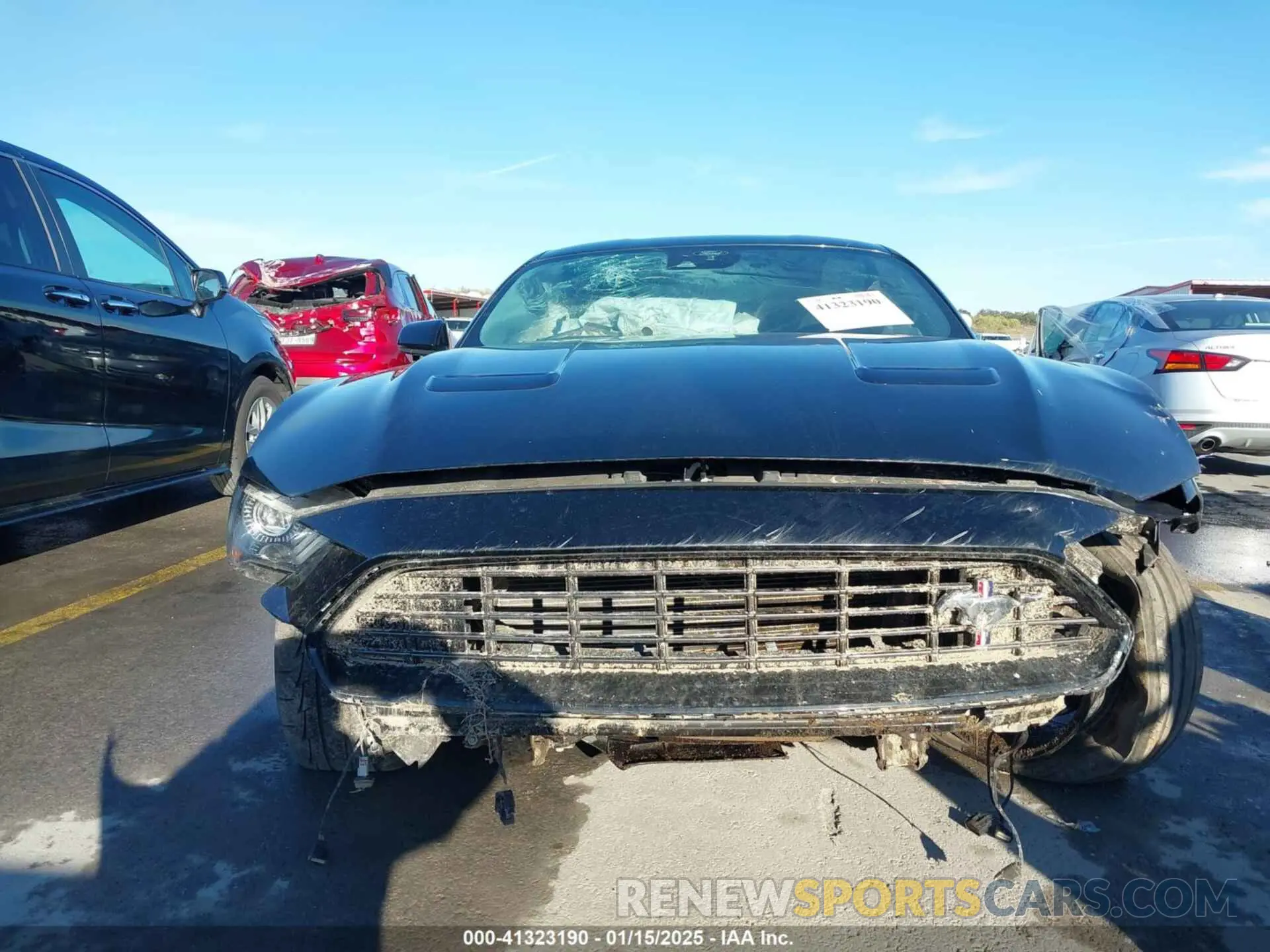 12 fotografías del automóvil dañado 1FA6P8TD7M5149328 FORD MUSTANG 2021