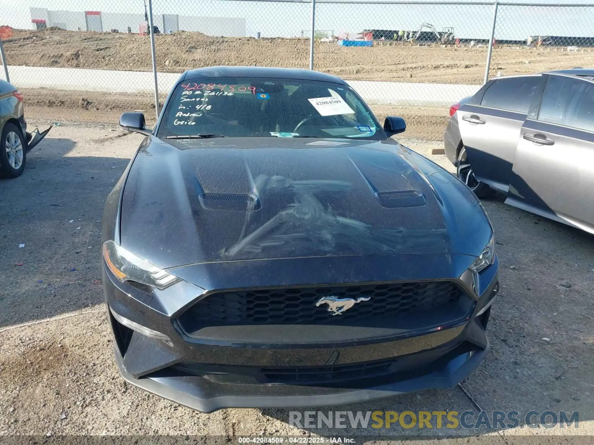 12 fotografías del automóvil dañado 1FA6P8TH0M5107683 FORD MUSTANG 2021