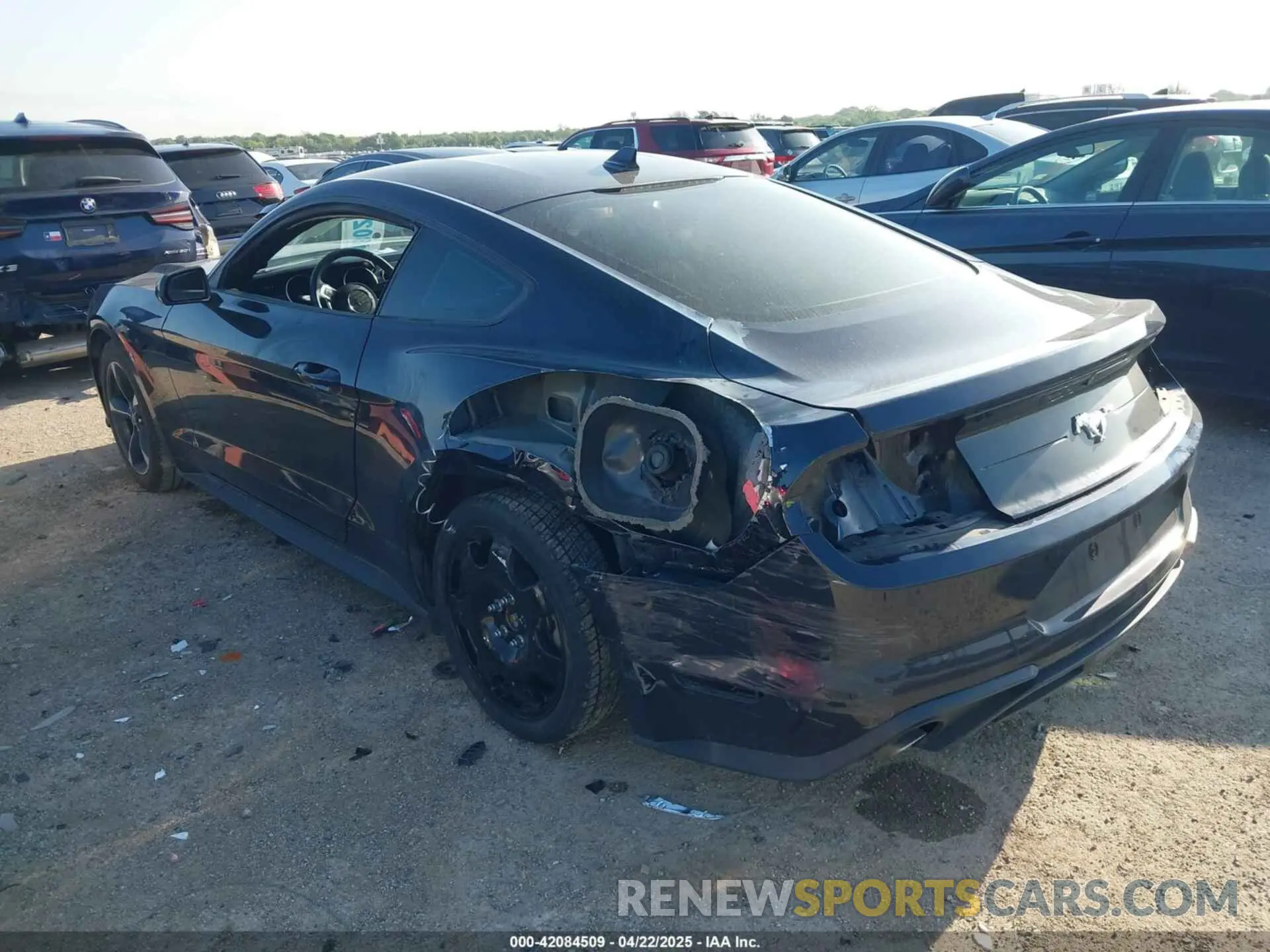 3 fotografías del automóvil dañado 1FA6P8TH0M5107683 FORD MUSTANG 2021