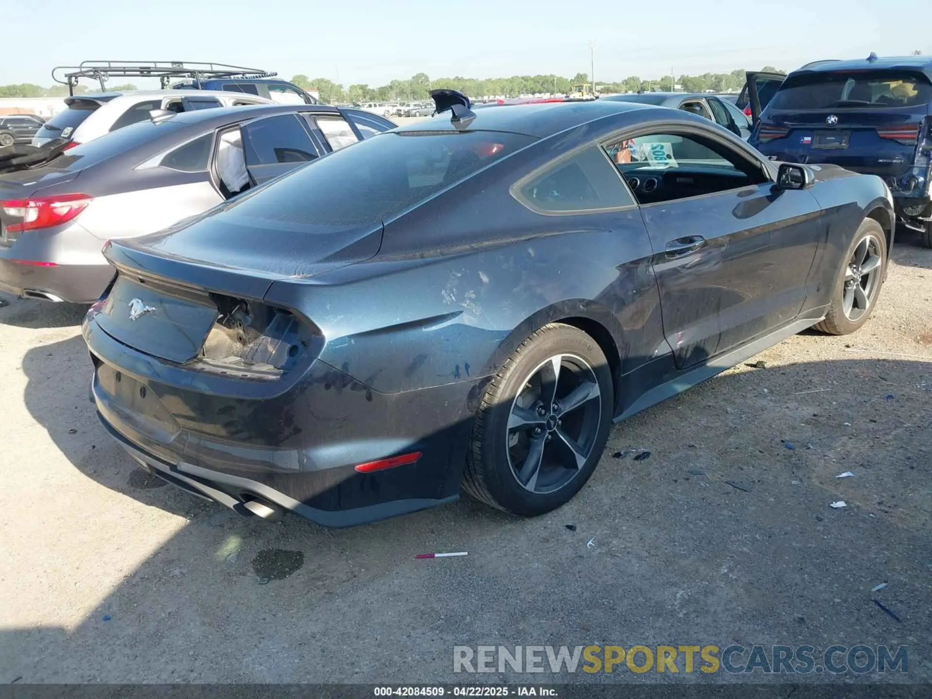 4 fotografías del automóvil dañado 1FA6P8TH0M5107683 FORD MUSTANG 2021