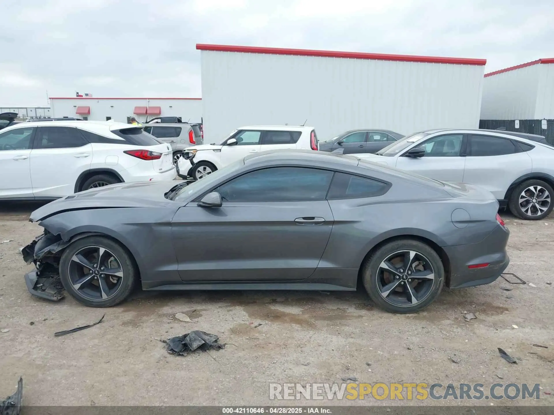14 fotografías del automóvil dañado 1FA6P8TH1M5152941 FORD MUSTANG 2021