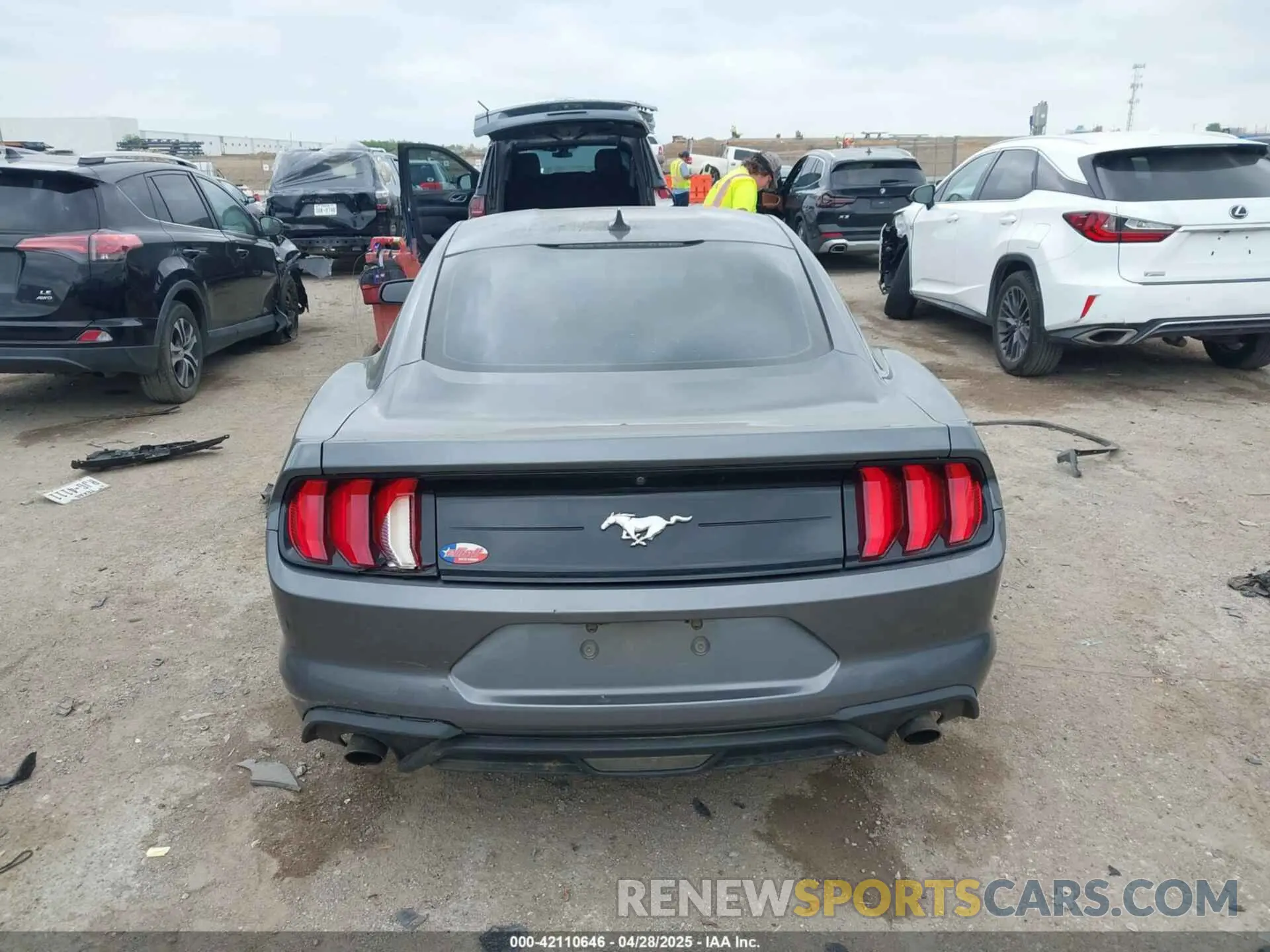 16 fotografías del automóvil dañado 1FA6P8TH1M5152941 FORD MUSTANG 2021