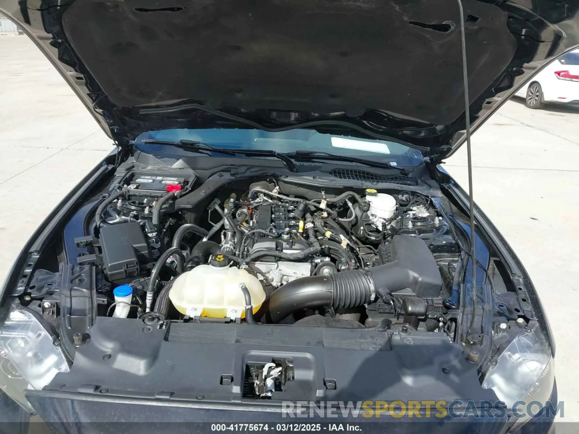 10 fotografías del automóvil dañado 1FA6P8TH2M5140071 FORD MUSTANG 2021